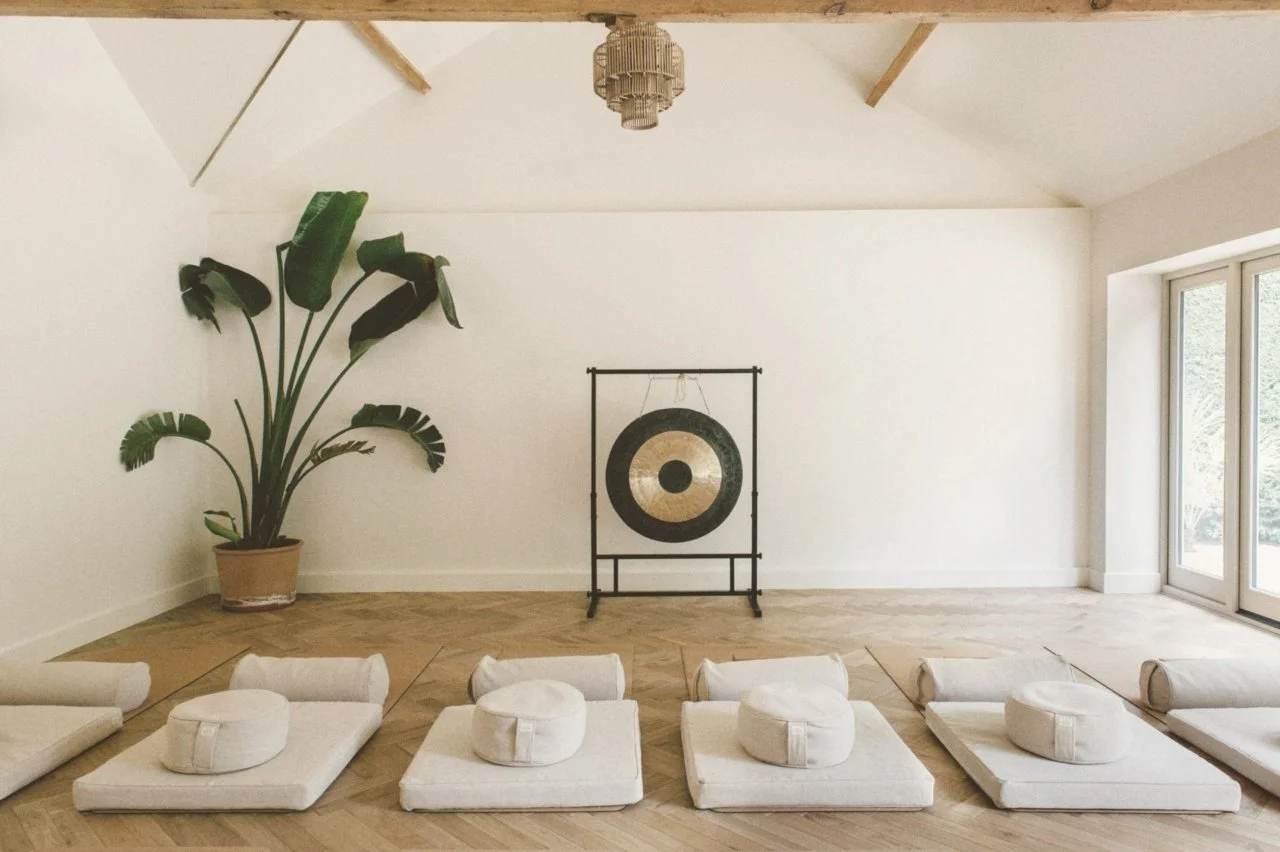 A yoga studio with a large potted plant on the left, a gong in the center, and yoga mats with cushions arranged on the floor in front. The room has wooden floors, white walls, and a large window on the right, with a ceiling light fixture.