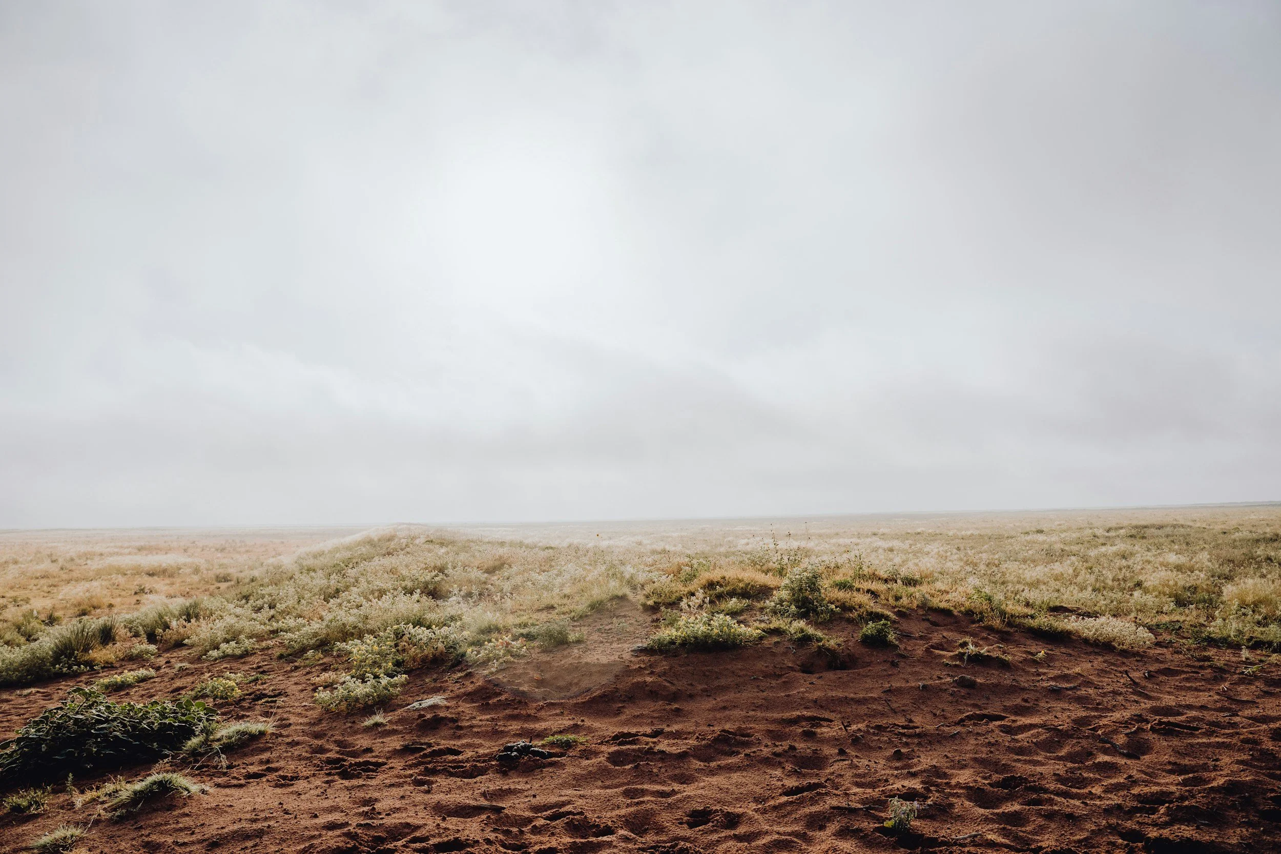 A desert landscape with reddish-brown soil and sparse green vegetation, under a cloudy, overcast sky.