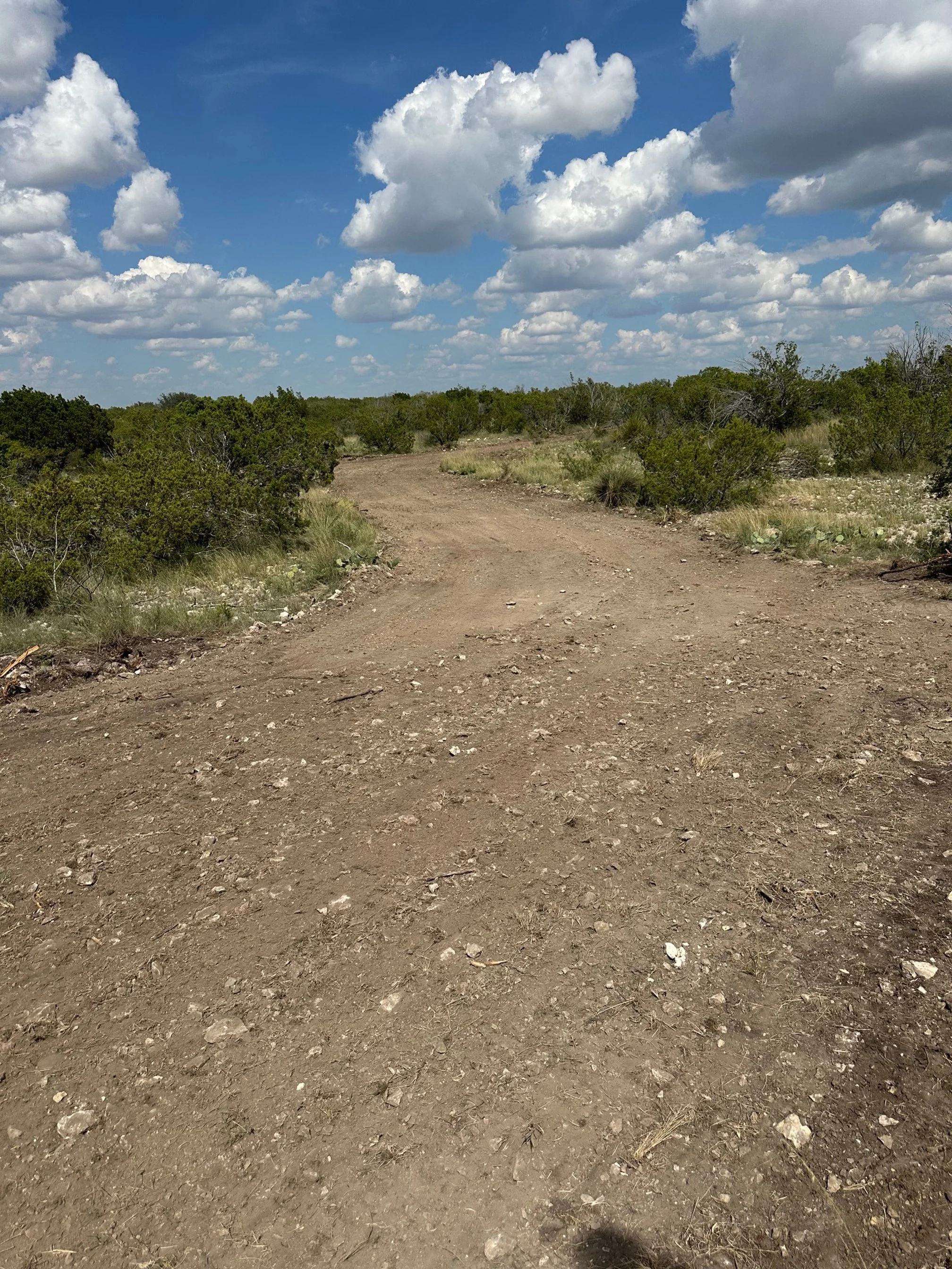 Dirt road winding through a dry, rural landscape with bushes and sparse vegetation under a partly cloudy blue sky.