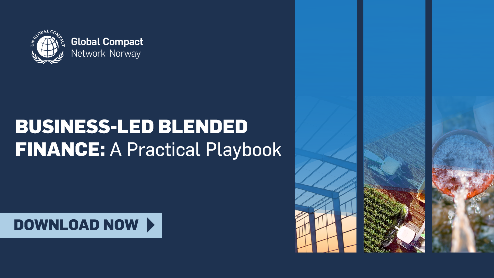 Business-Led Blended Finance : A Practical Playbook to Structure and Scale Blended Finance