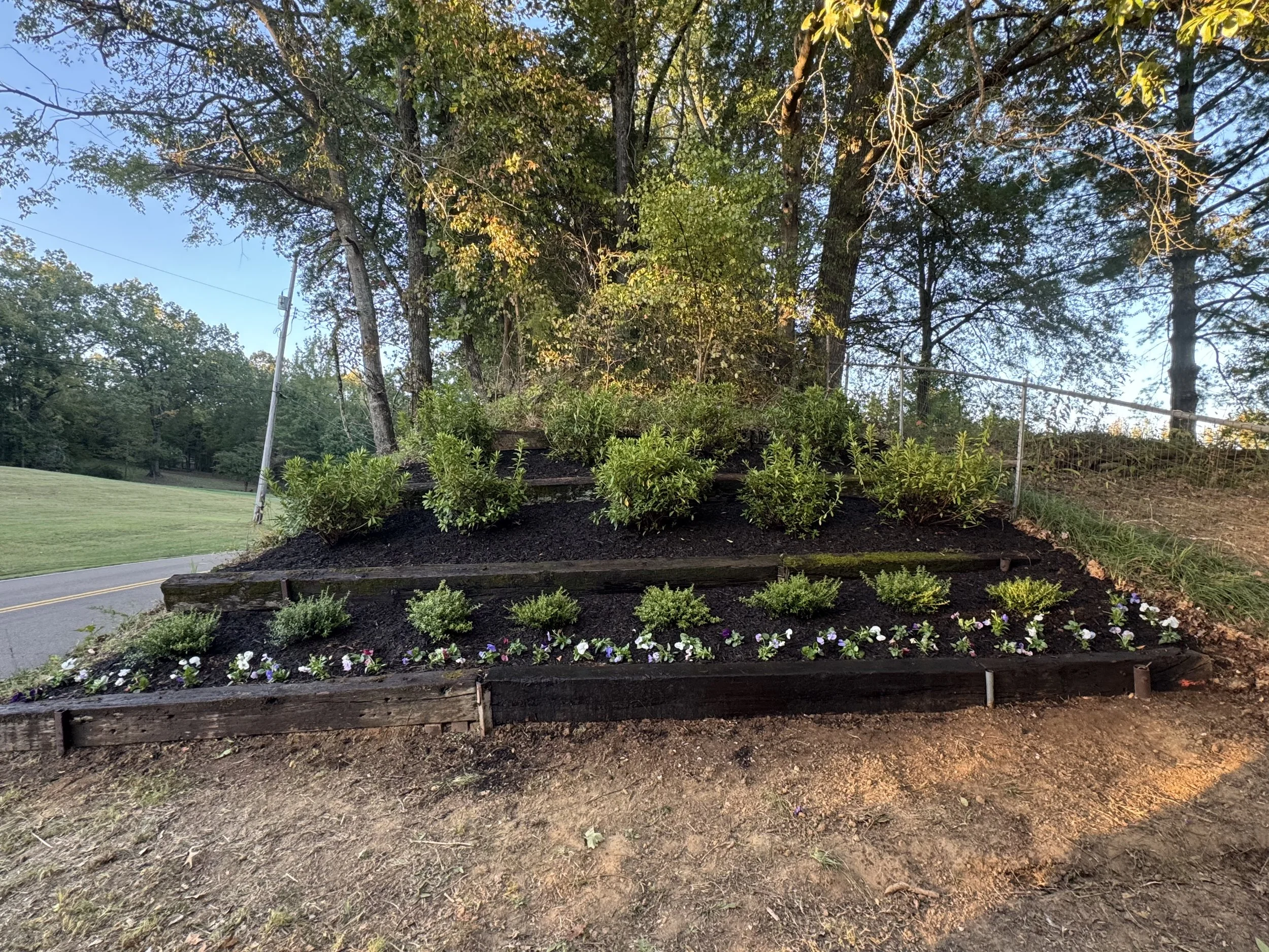 Tiered flower bed with various green bushes and small white and purple flowers, situated on a grassy hillside with trees and a chain-link fence in the background, during sunset.