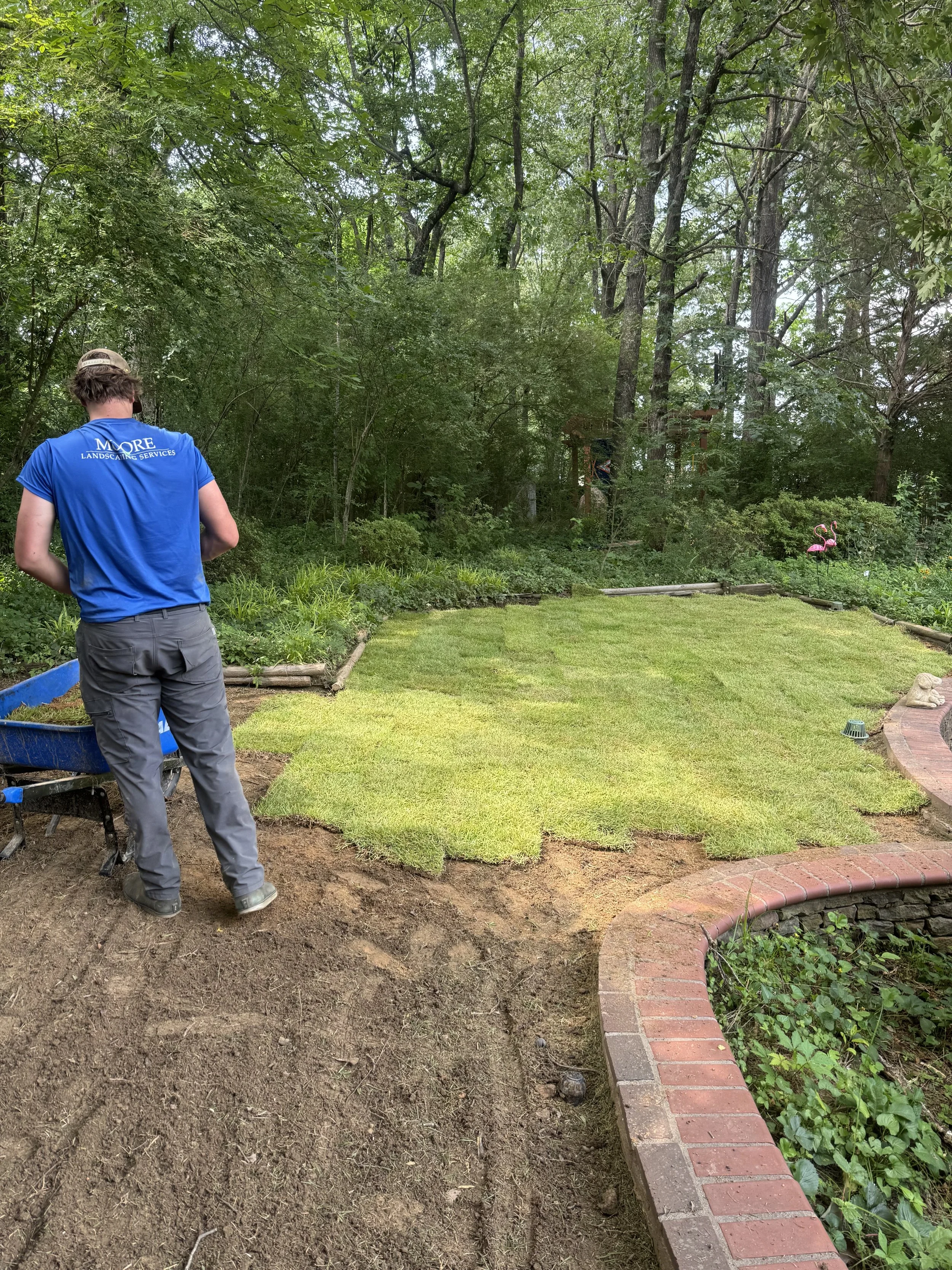 A person planting sod in a backyard with green grass, surrounded by trees and garden decorations, including pink flamingo lawn ornaments.