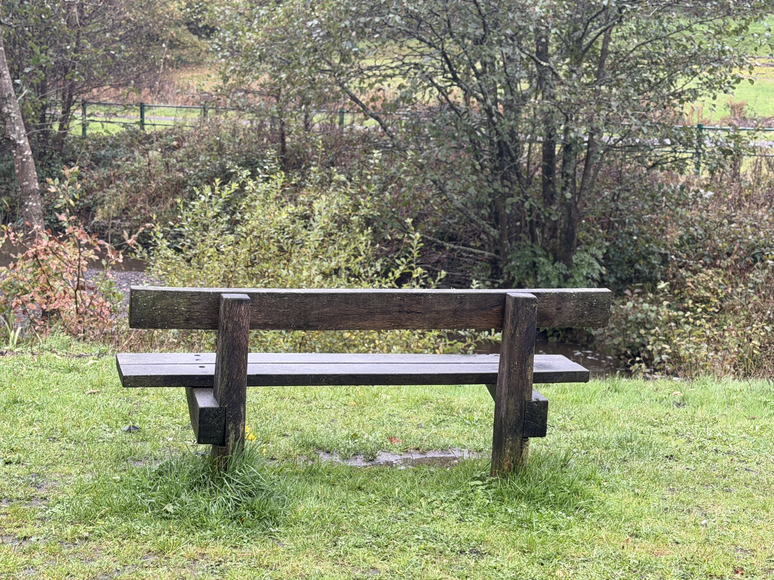 Empty wooden park bench on grassy area with trees and bushes in the background.