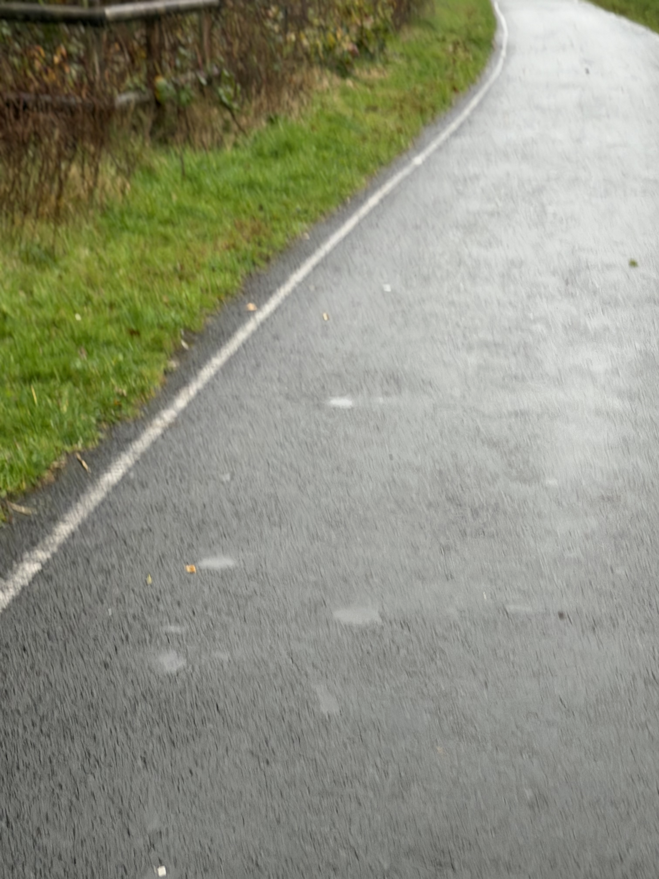 A wet asphalt sidewalk bordered by grass and a hedge.