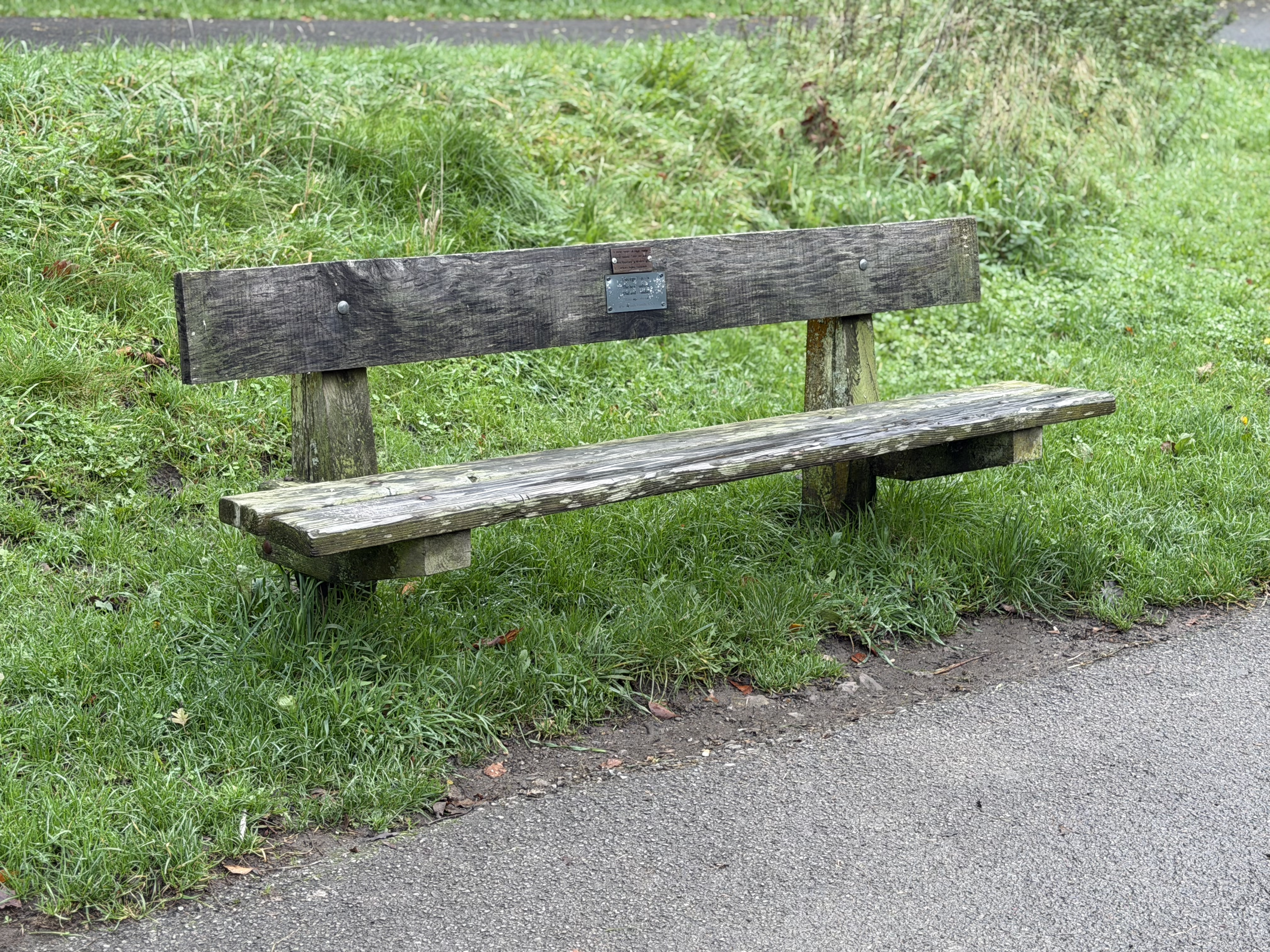 An old wooden park bench with a backrest and seat, situated on a paved path with green grass and plants surrounding it.