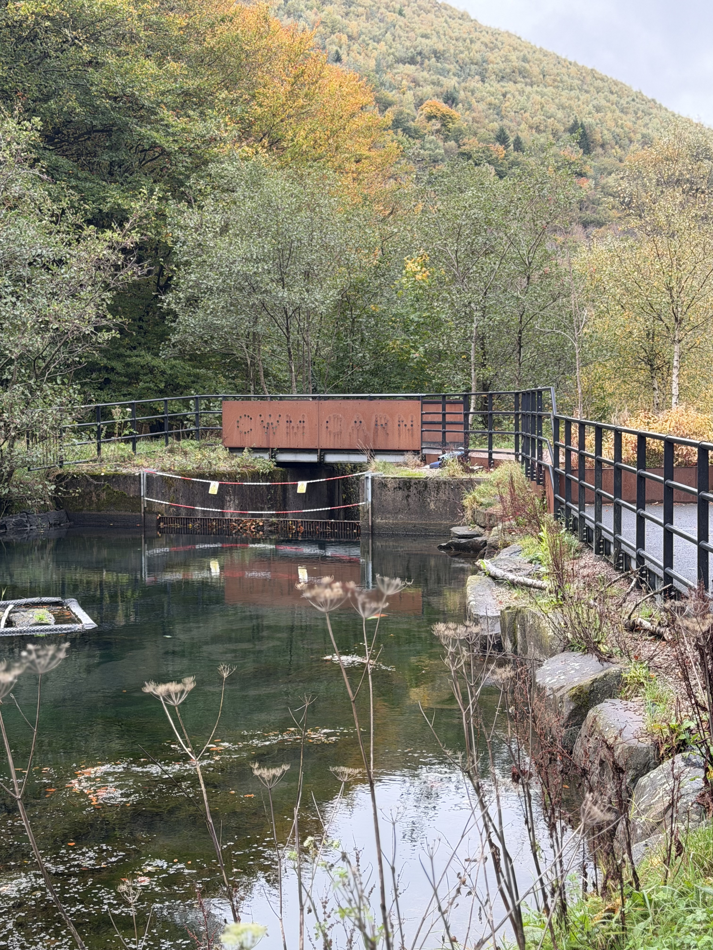 A scenic view of a pond with a metal railing around it, surrounded by trees with fall foliage, and a mountain in the background. There is a rust-colored gate with the words "Spring Park" on it.