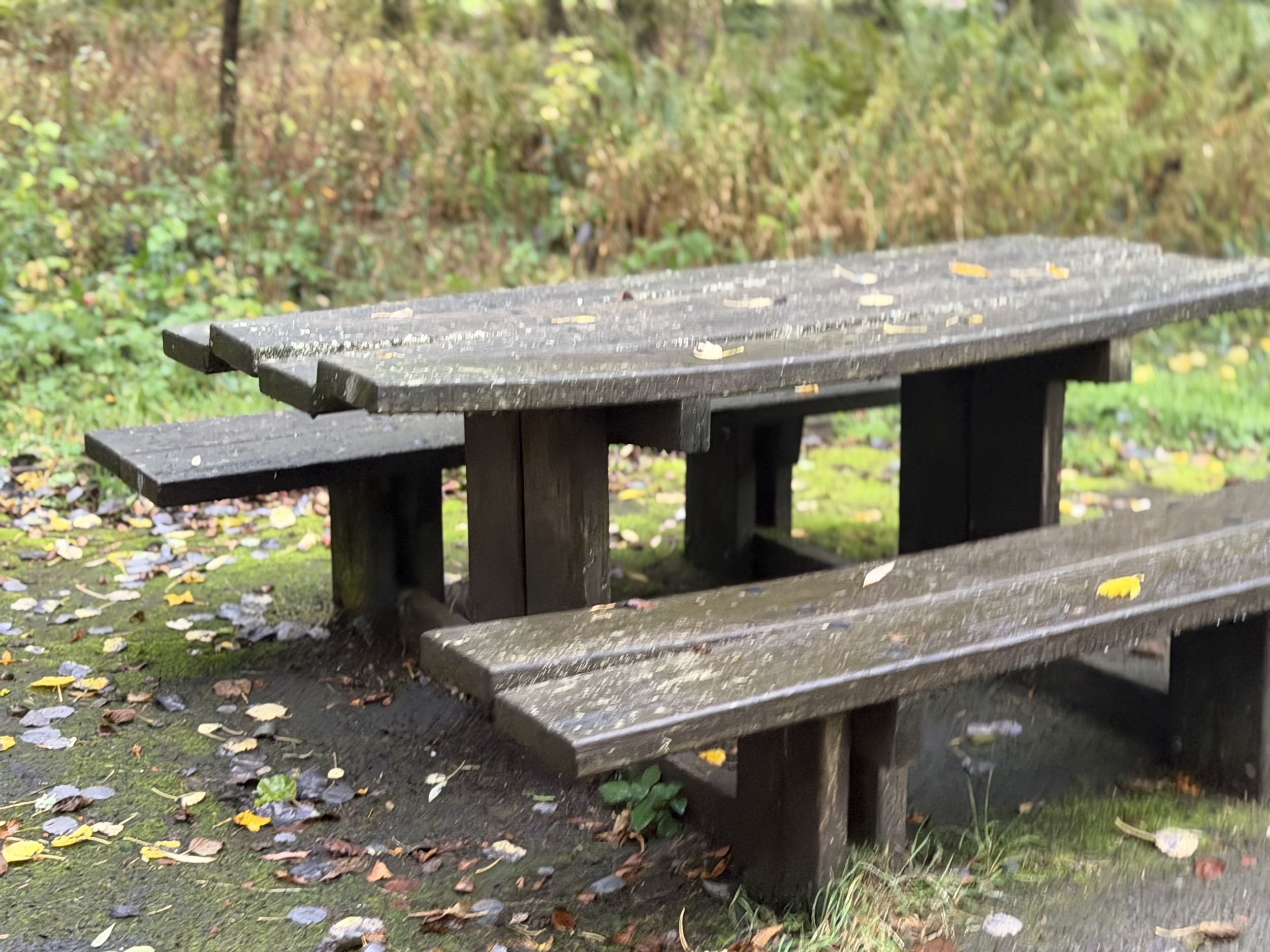 A wooden picnic table in a park area with fallen leaves on and around it, and a background of green foliage.