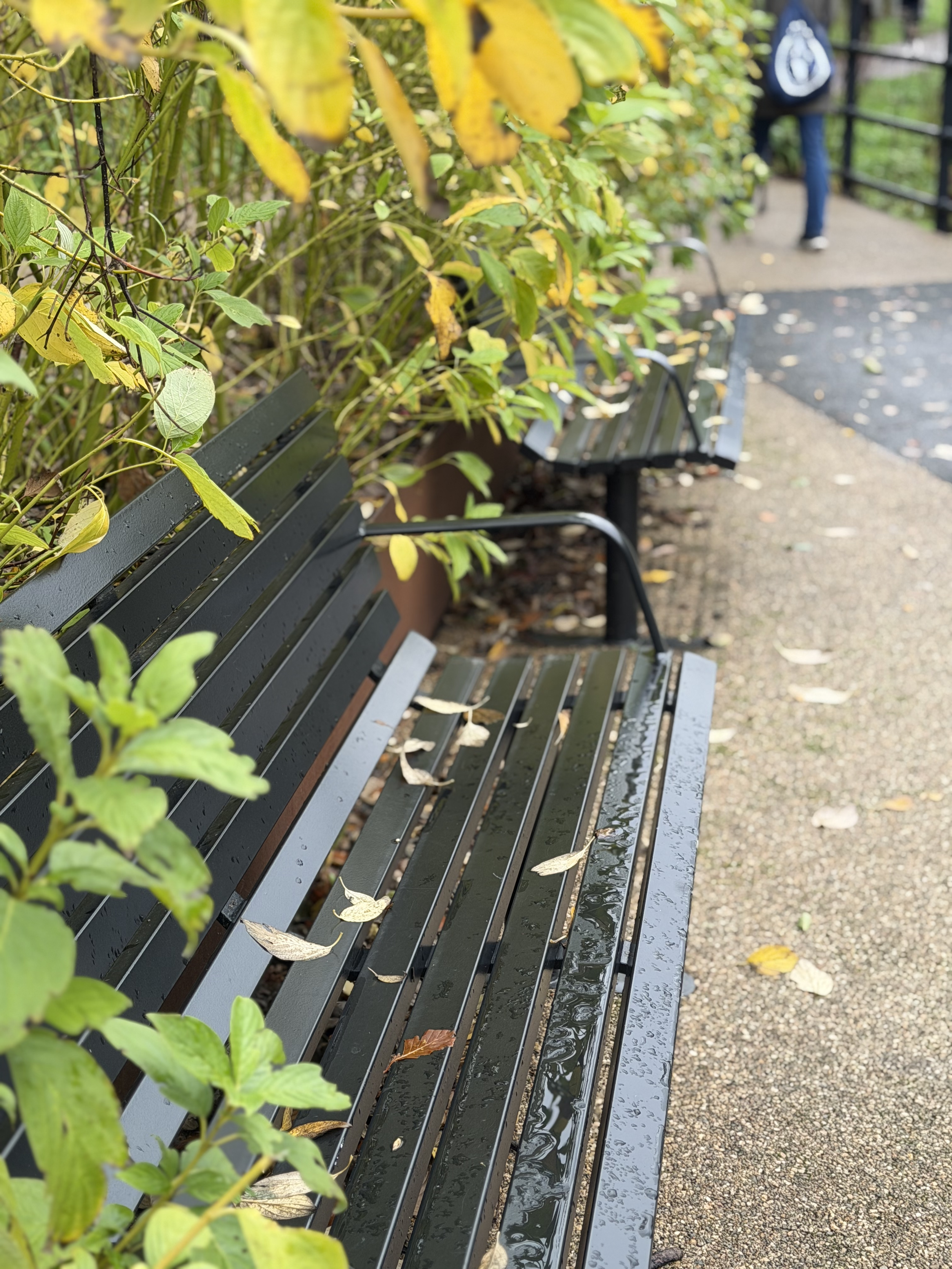 Empty park bench with wet surface and fallen leaves, surrounded by green and yellow foliage, on a rainy day.
