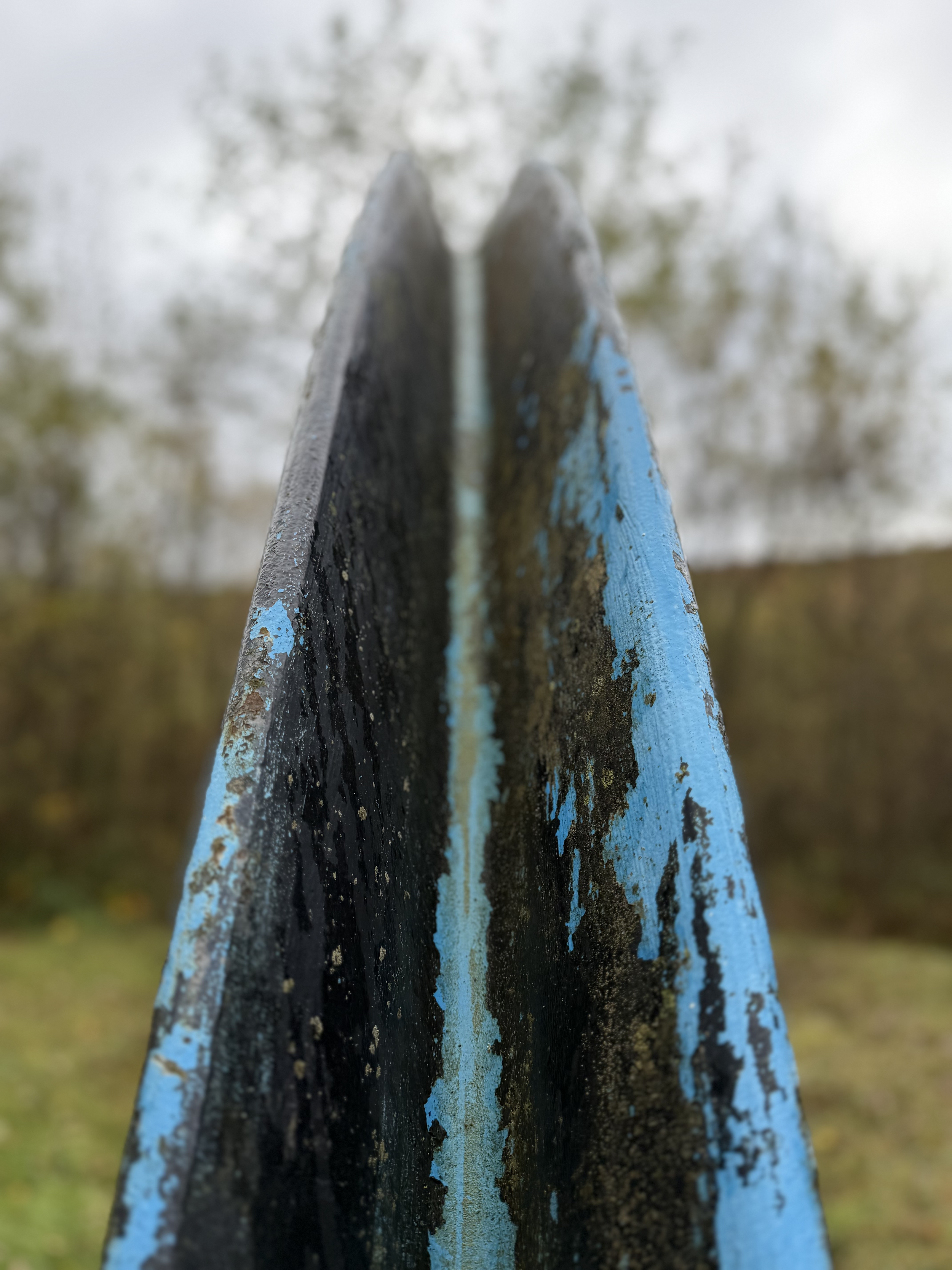Close-up of a weathered wooden surface painted with black and blue paint, with the focus on the rough texture and peeling paint, set against a blurred background of trees and sky.