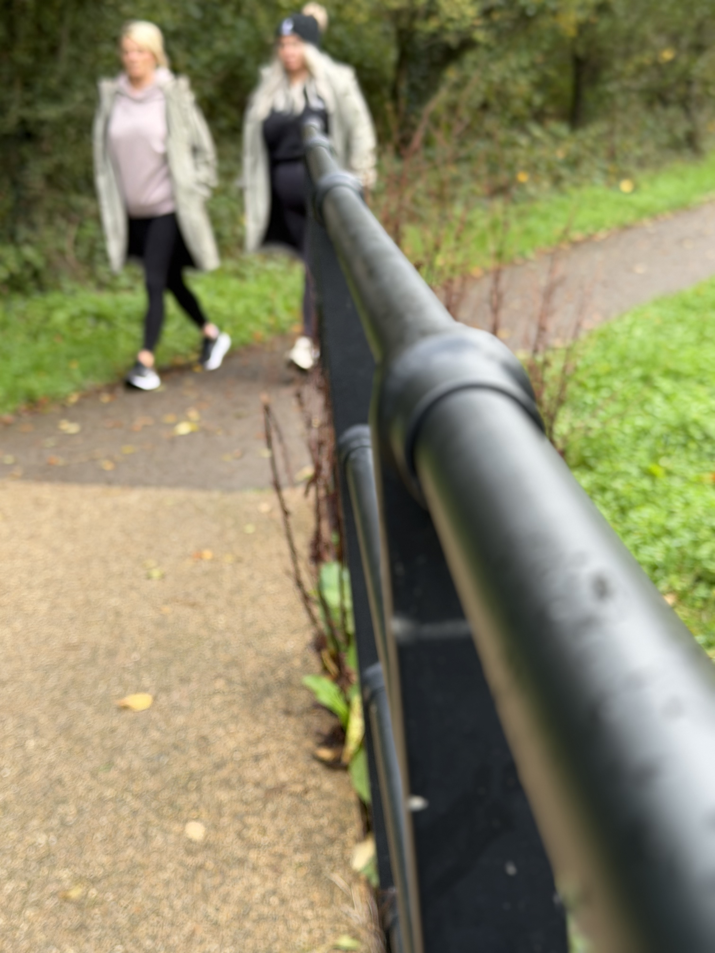 Two women walking along a path in a park with greenery, seen from behind a black metal railing.