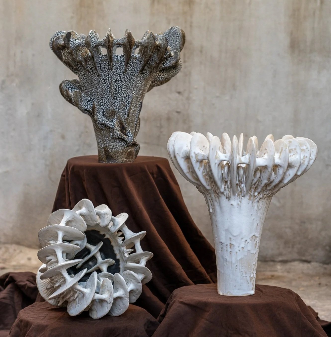 Looking in to the deep sea