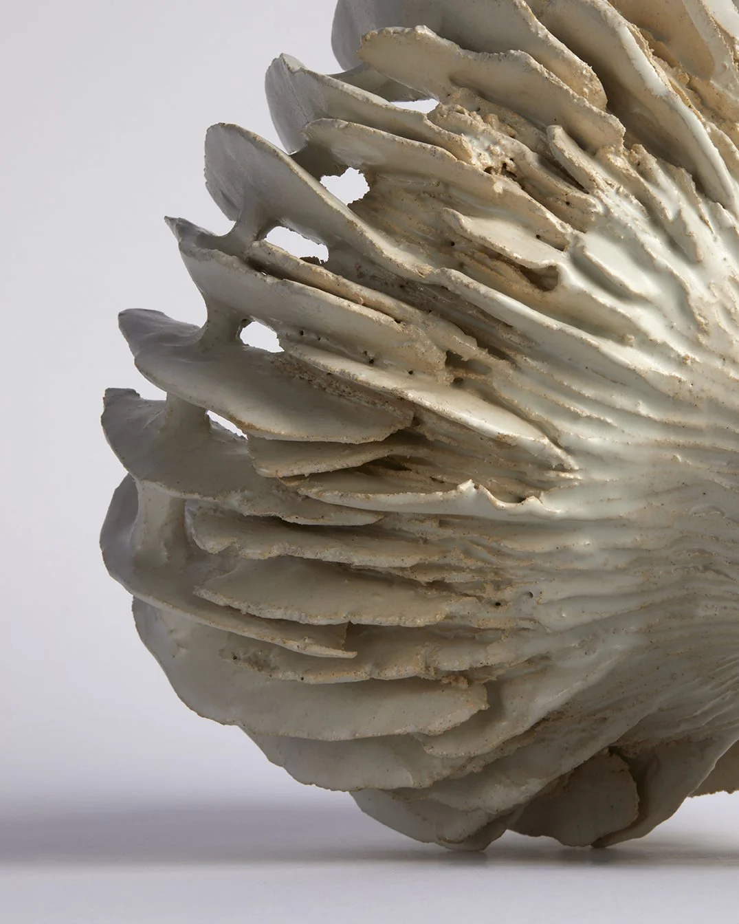 Fbones.1 (Giorgos Vitsaropoulos).jpg