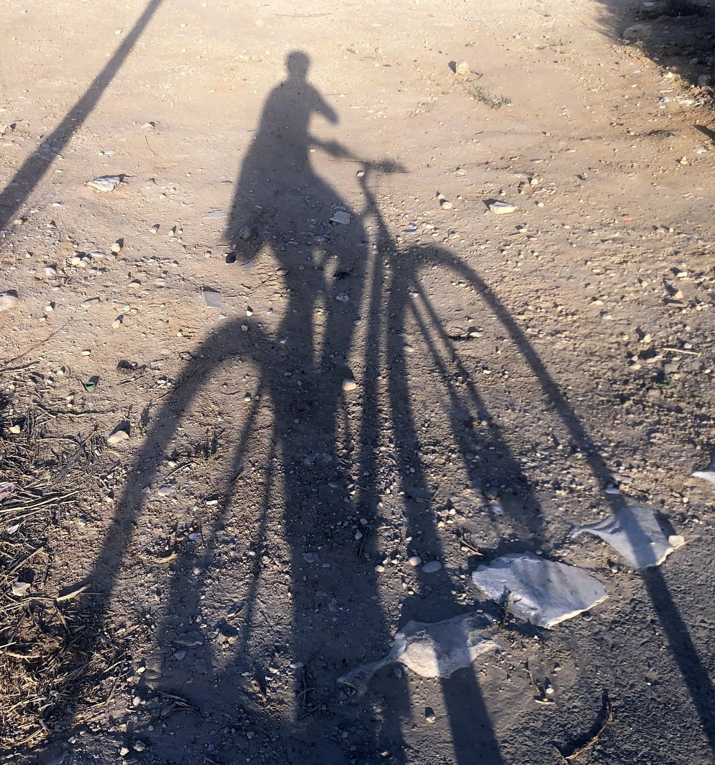 Shadow of a bicycle on a gravel path in Nahal Be’er Sheva, symbolizing momentum, presence, and moving forward with intention.