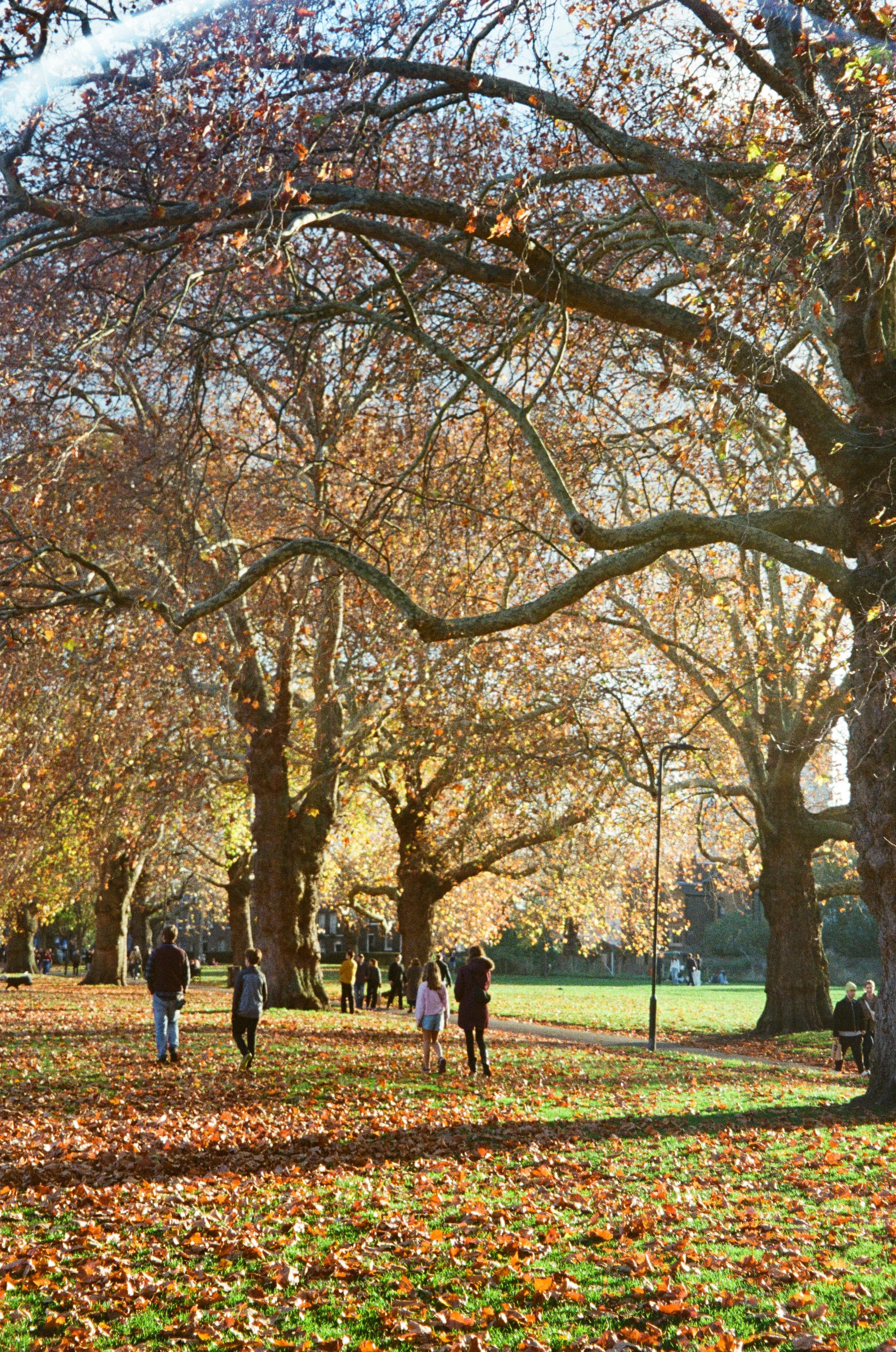 Film - London Fields (November 2025)