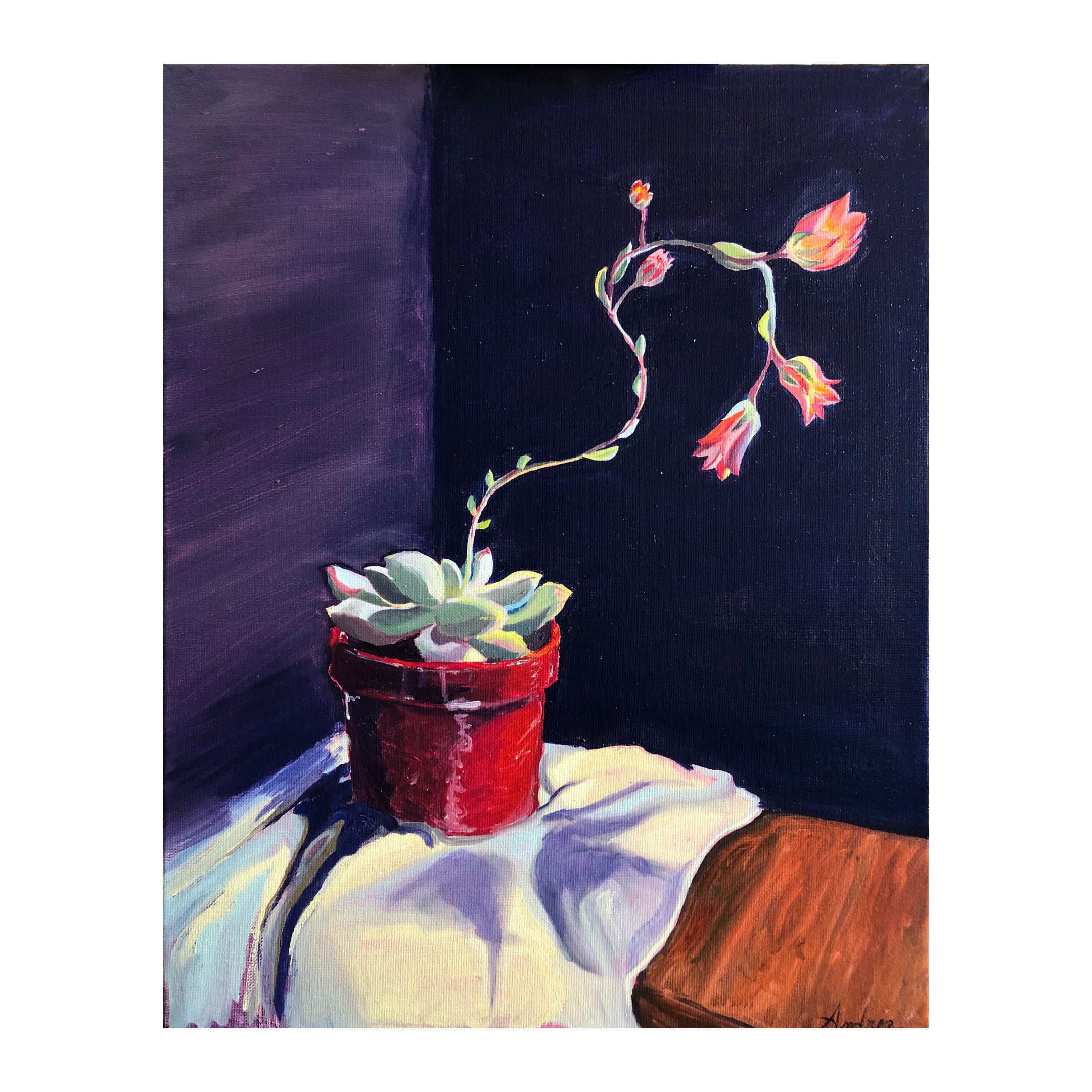 Print_Sundrenched Echeveria.png