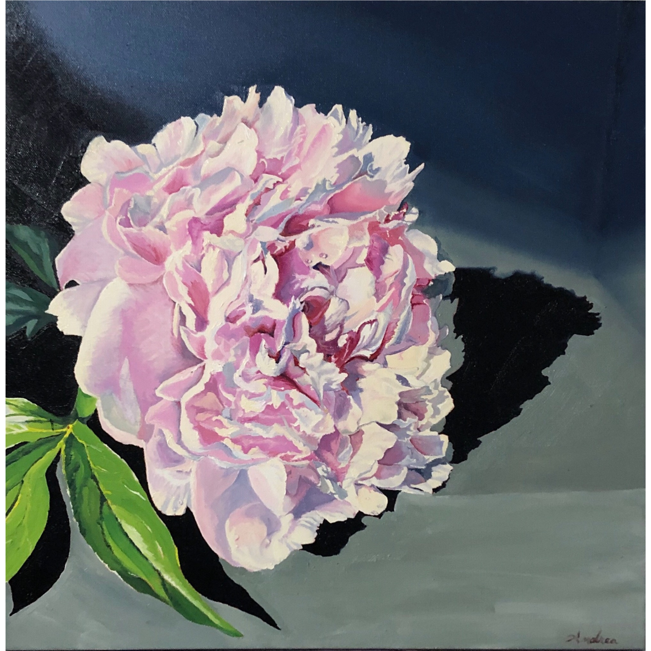 Early Works_Peony in the Morning.png