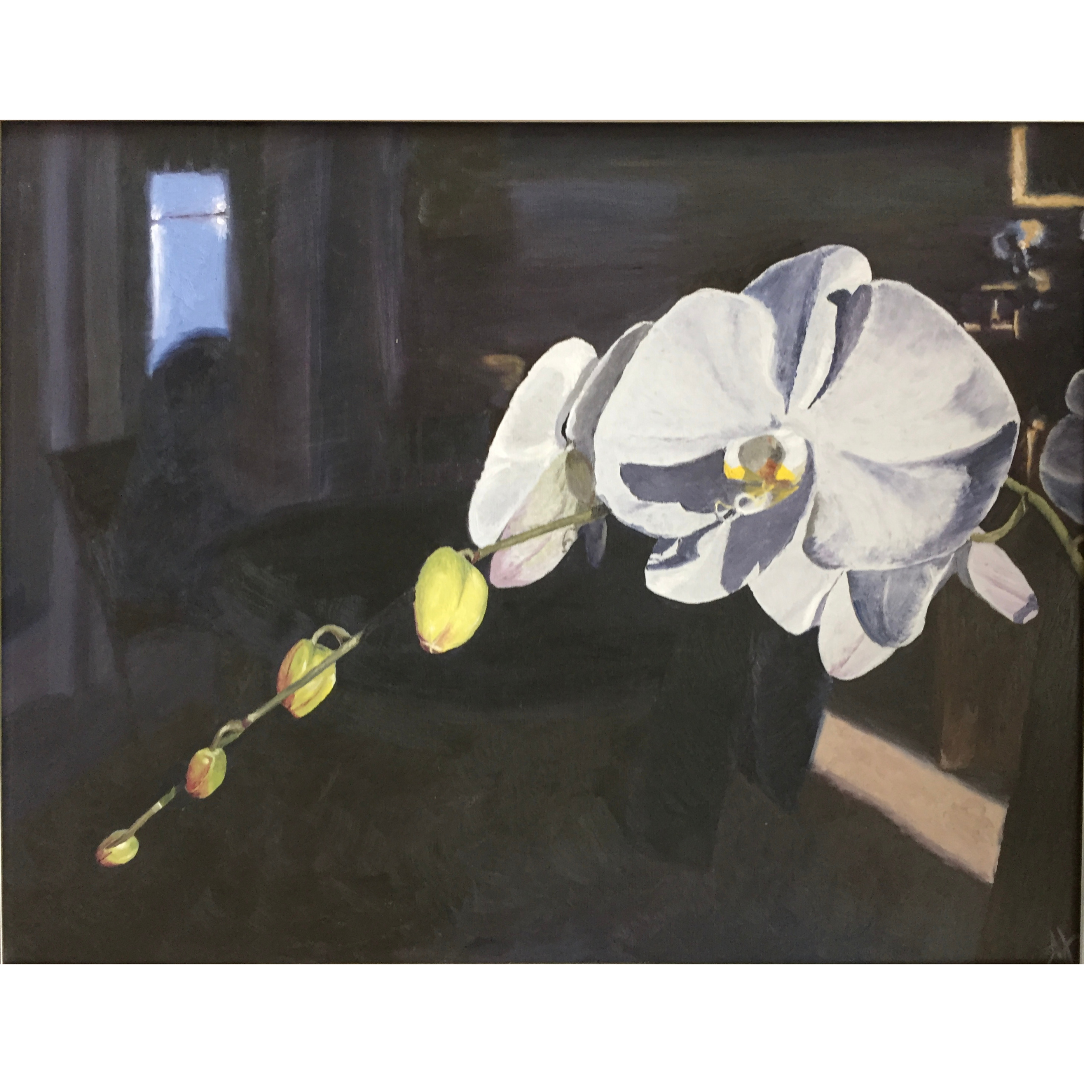 Early Works_Orchids in the morning.png