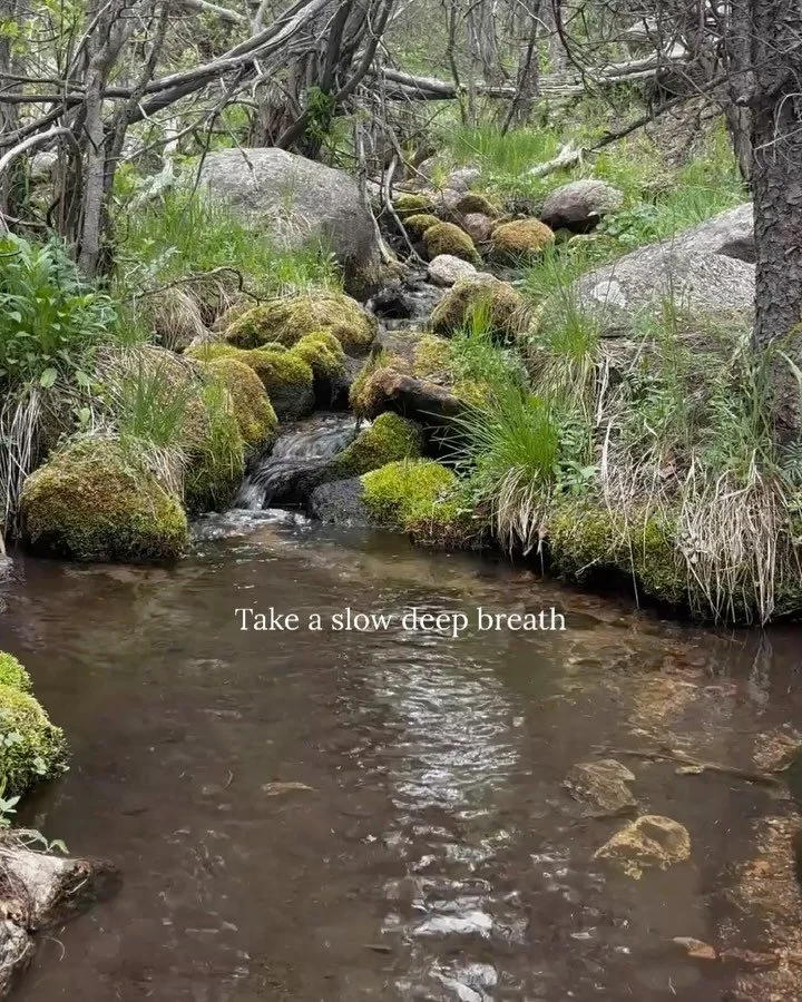 Some small but powerful reminders in case you are feeling overwhelmed by it all.

#lifeisshort #deepbreath #exhale #nervousystemregulation #dailyreminder