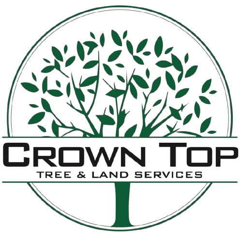 Crown Top Tree &amp; Land Services