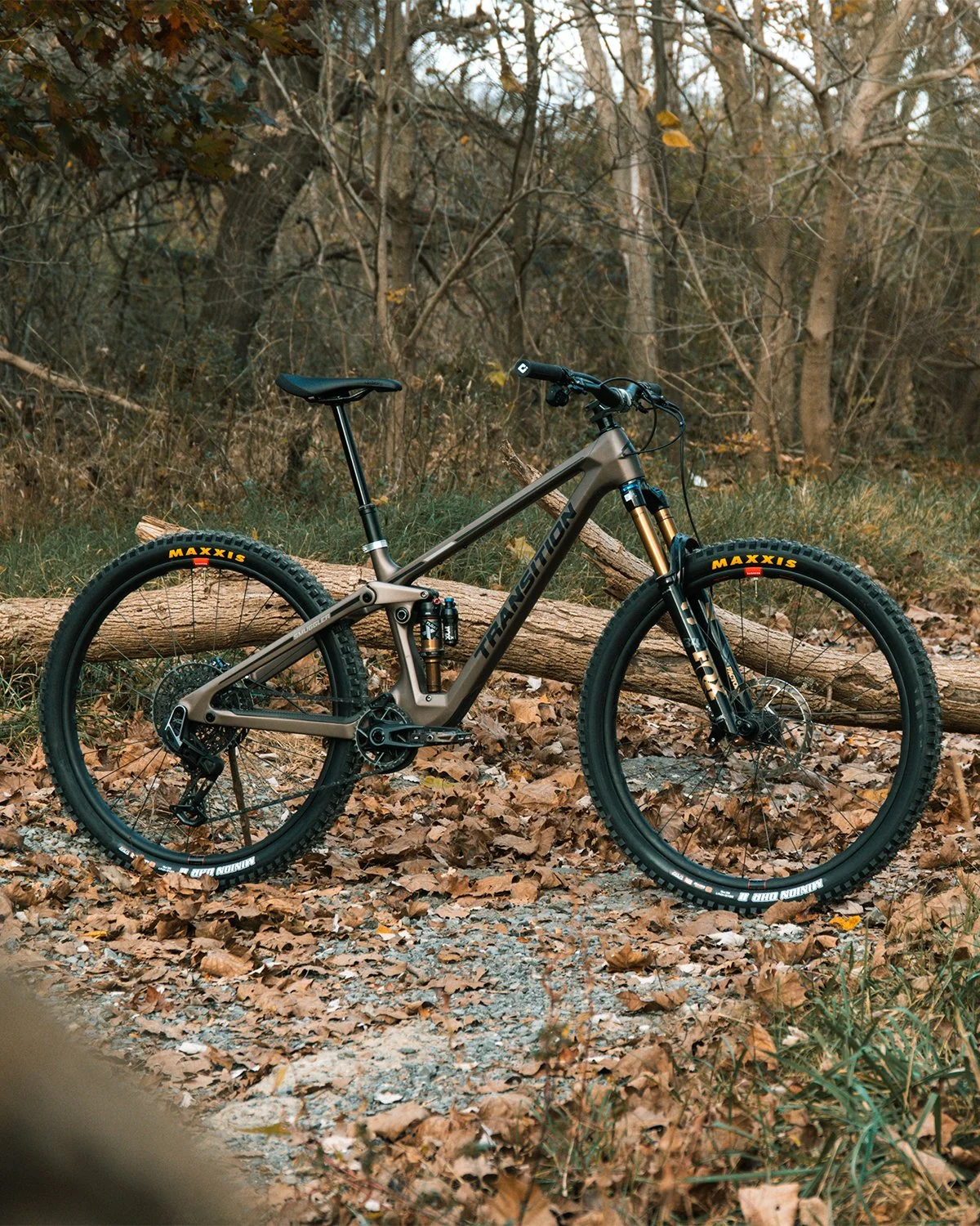 A mountain bike leaning against a fallen log in a wooded area with fallen leaves and trees in the background.