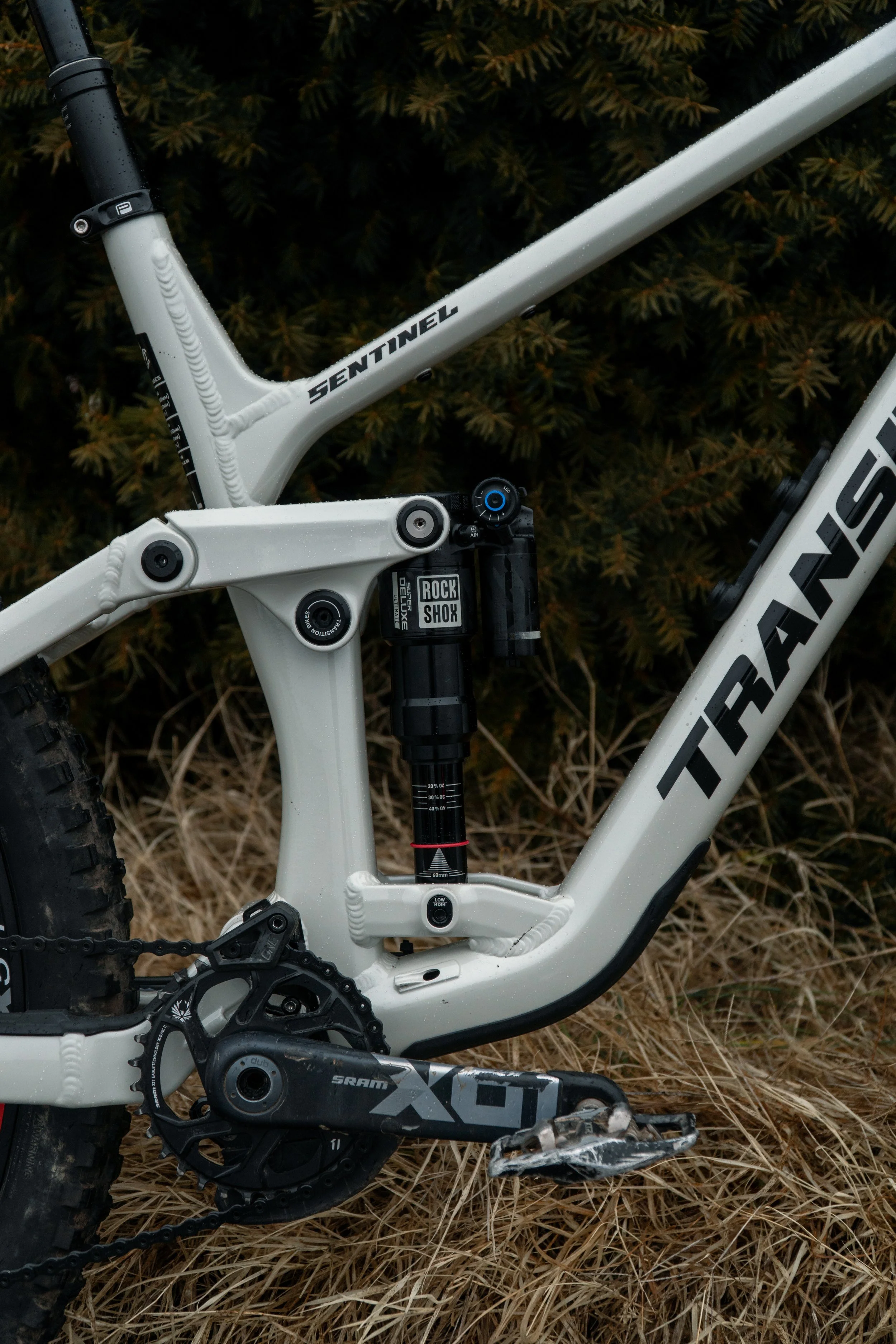 Close-up view of a white Transition Sentinel mountain bike frame with suspension components and Shimano Deore XT crankset, set against grassy ground and bushes.