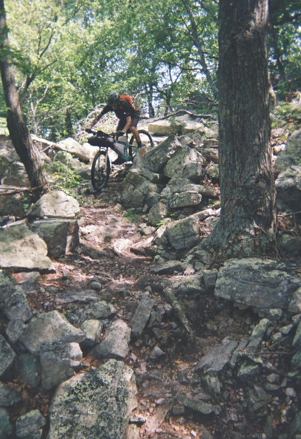 Person mountain biking on a rocky trail in a forested area with tall trees and green foliage.