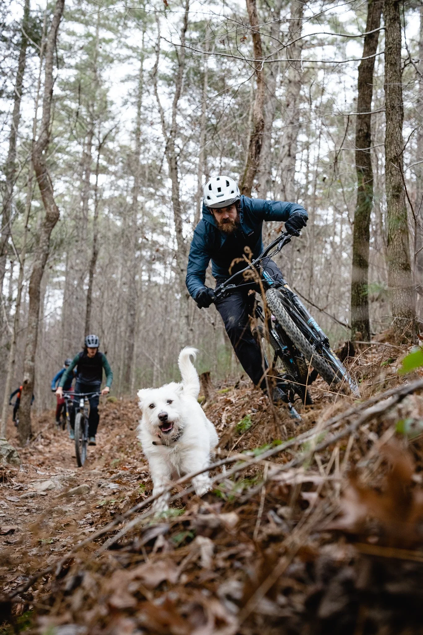 Group of mountain bikers riding on a trail in a wooded area, with a white dog running alongside in the foreground.