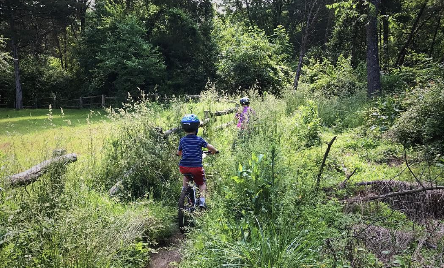 Two children riding bicycles on a narrow trail through tall grass and dense trees in a lush green forested area.