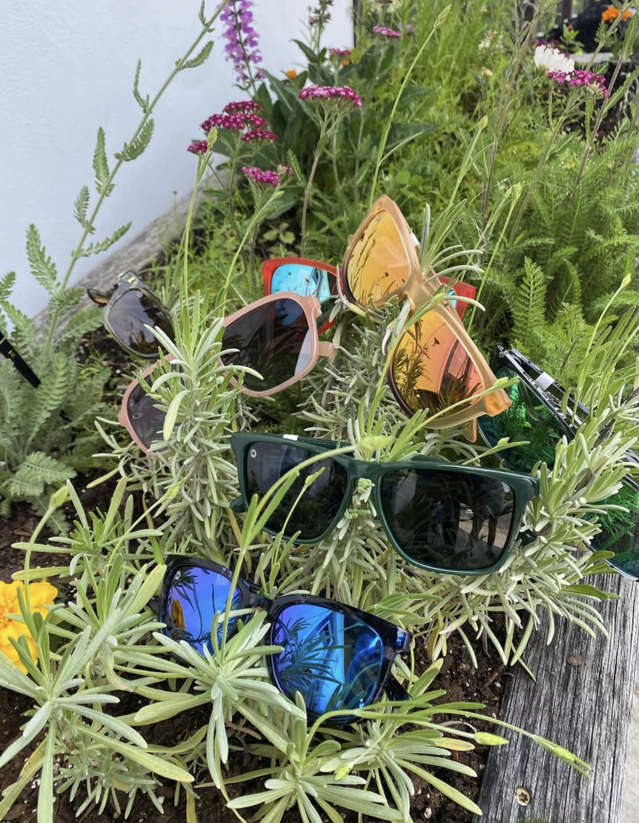 Multiple colorful sunglasses placed among green and white plants in a garden, with vibrant flowering plants in the background.