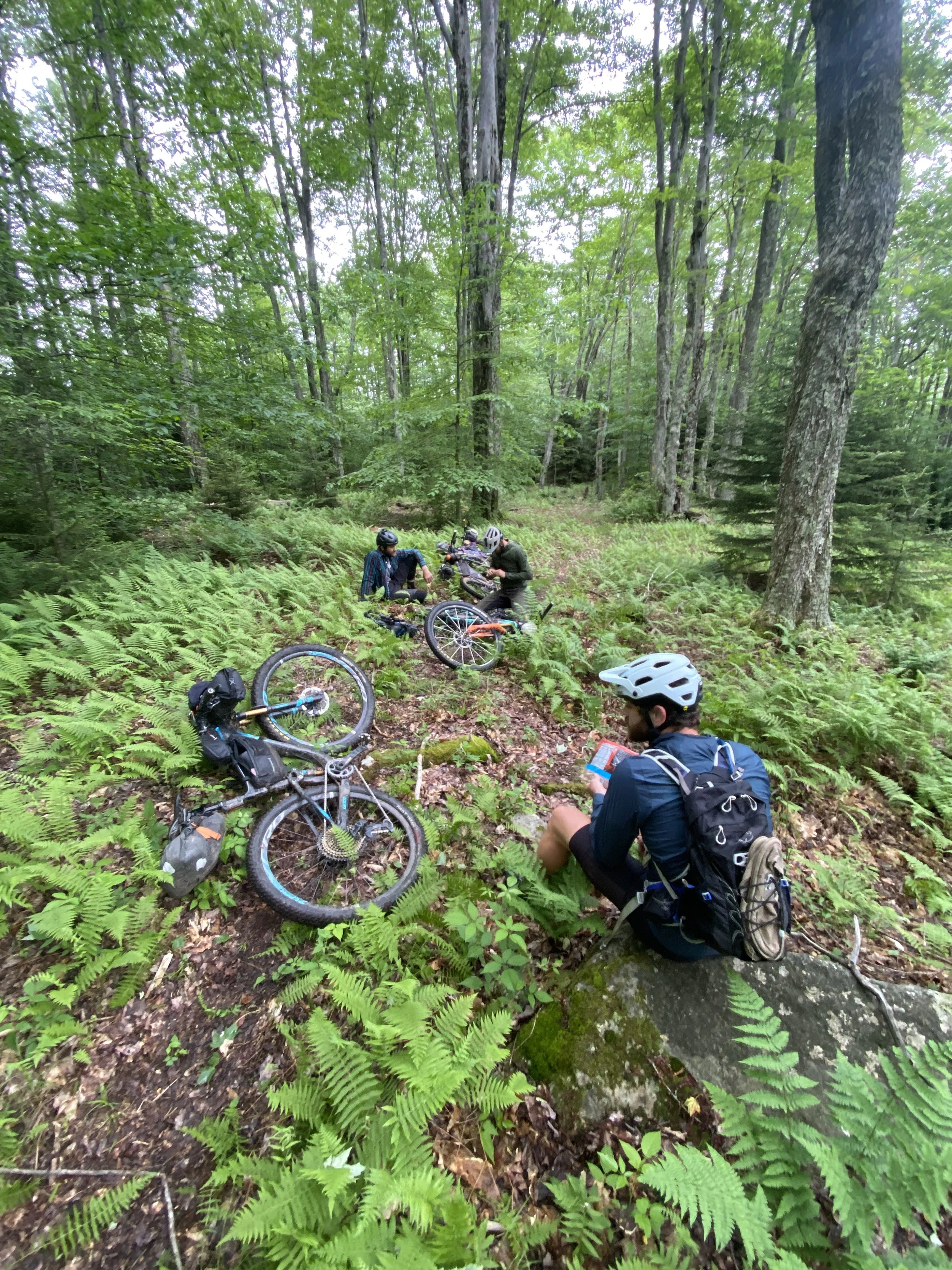 Group of mountain bikers resting on a forest trail surrounded by trees and ferns, with bikes lying on the ground.