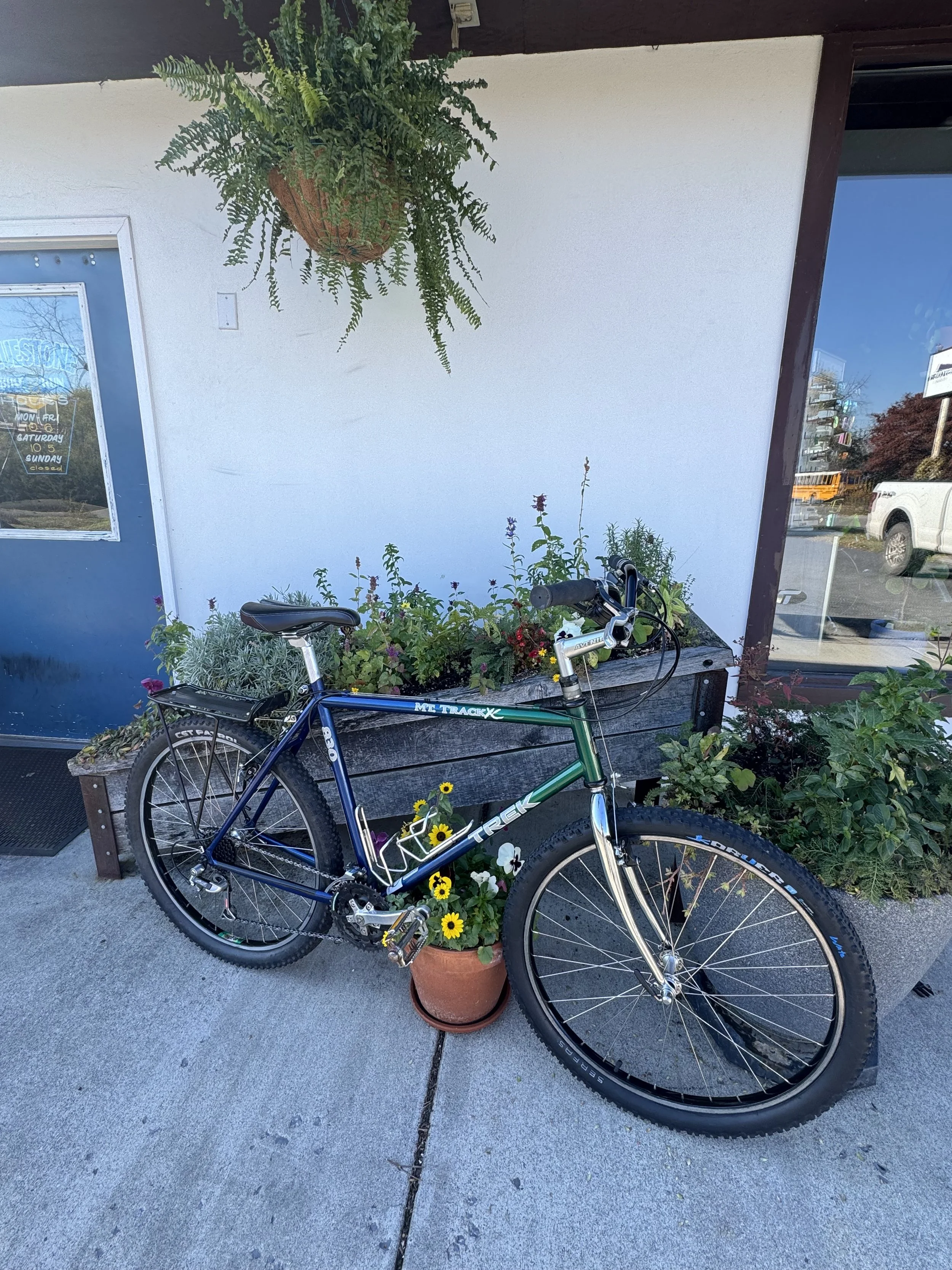 A blue and green Trek mountain bike leaning against a flowerbed outside a building with a glass window and a white wall. There is a seating area with plants and flowers around the bike, and a hanging basket with fern above.