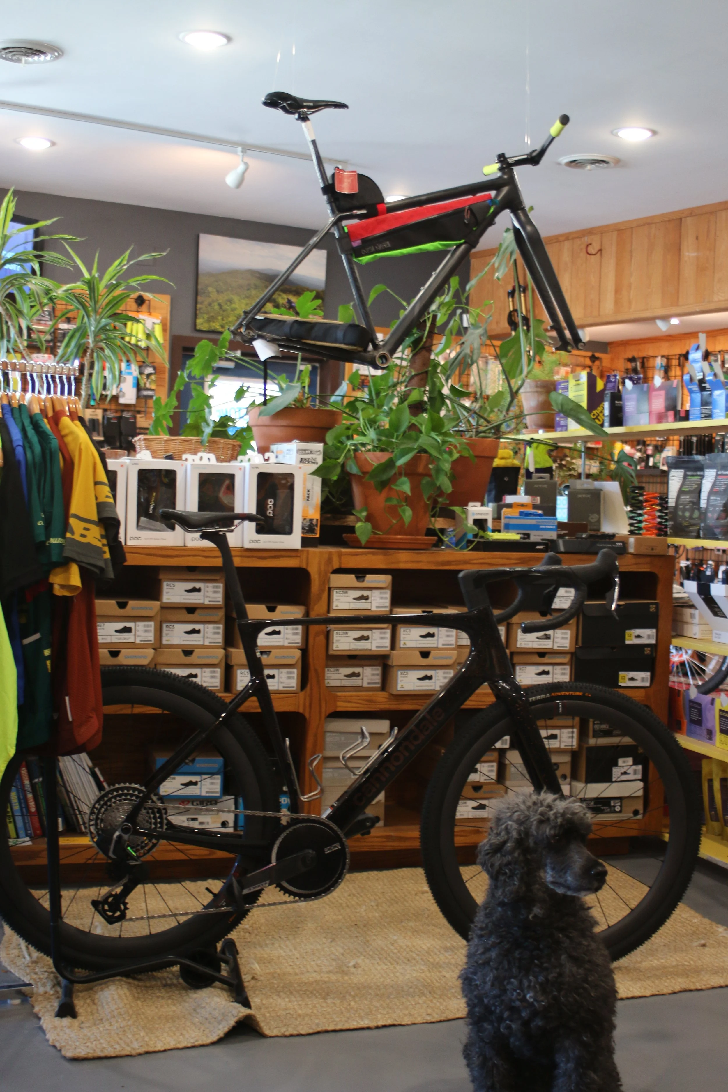 Bluestone Bike and Run NEW | Shop Quality Gear Today