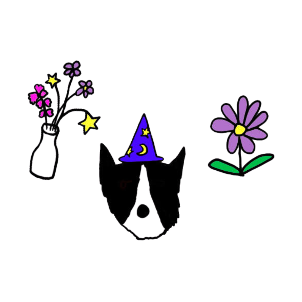 A cartoon illustration of a black cat wearing a blue wizard hat with yellow stars and crescent moon, with purple flowers on either side, one in a vase with pink blossoms and the other as a single flower.