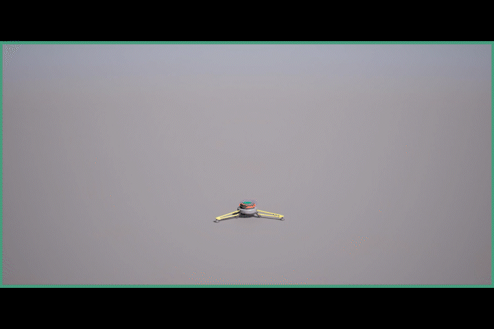 Sequence 01.gif