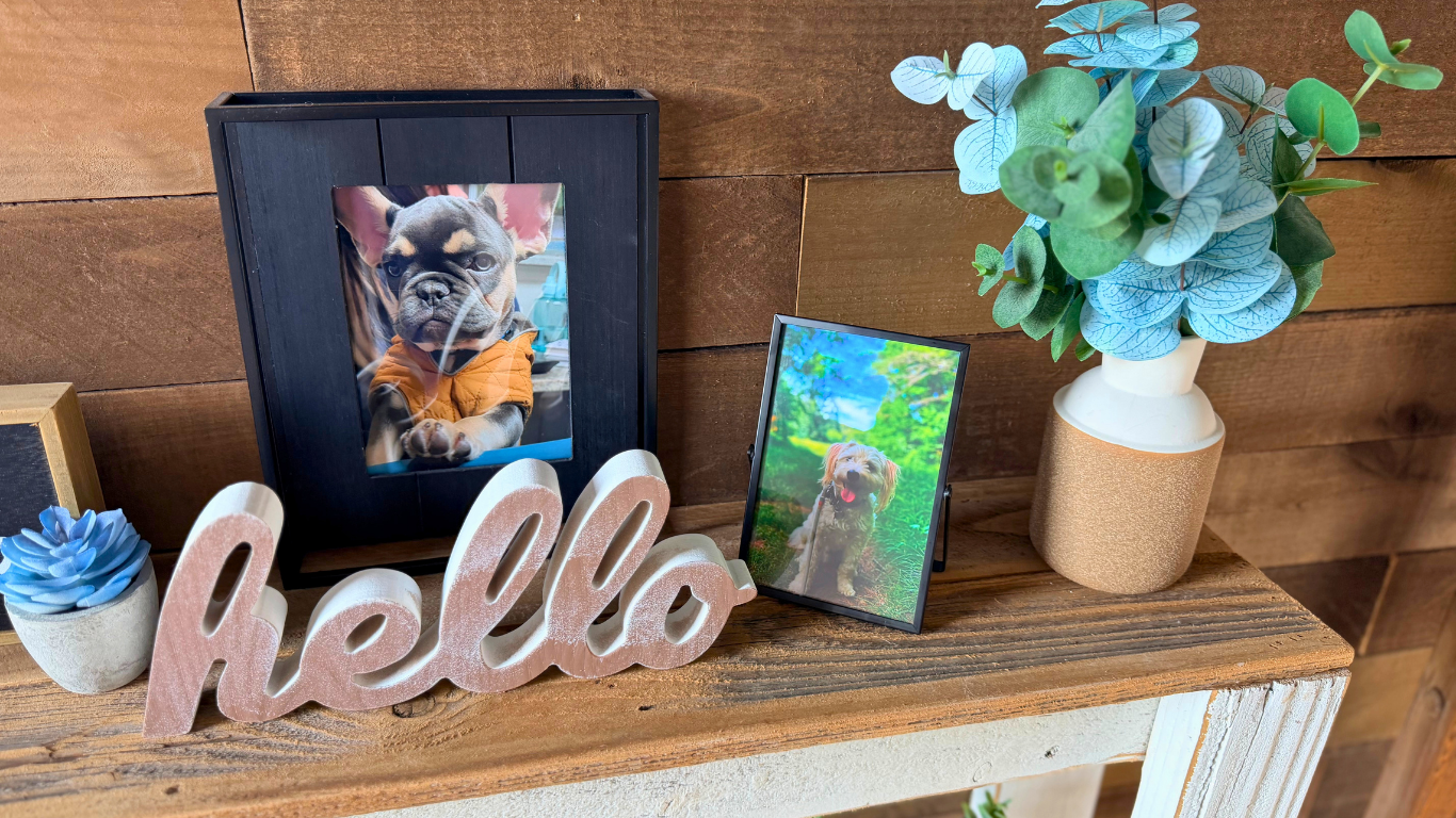 Decorative display with framed dog photos, a pink and white "hello" sign, small succulent plant, and potted eucalyptus on a wooden surface against a wood-paneled wall.