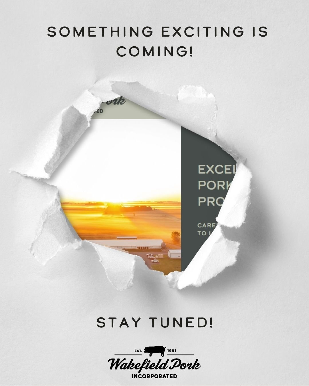 We have been working on something exciting! What do you think it is? 
A new barn?
A new logo? 
A new partnership?
We will reveal our big secret in just one week! Comment below what you think it is. 🐖 

#WakefieldPork #staytuned