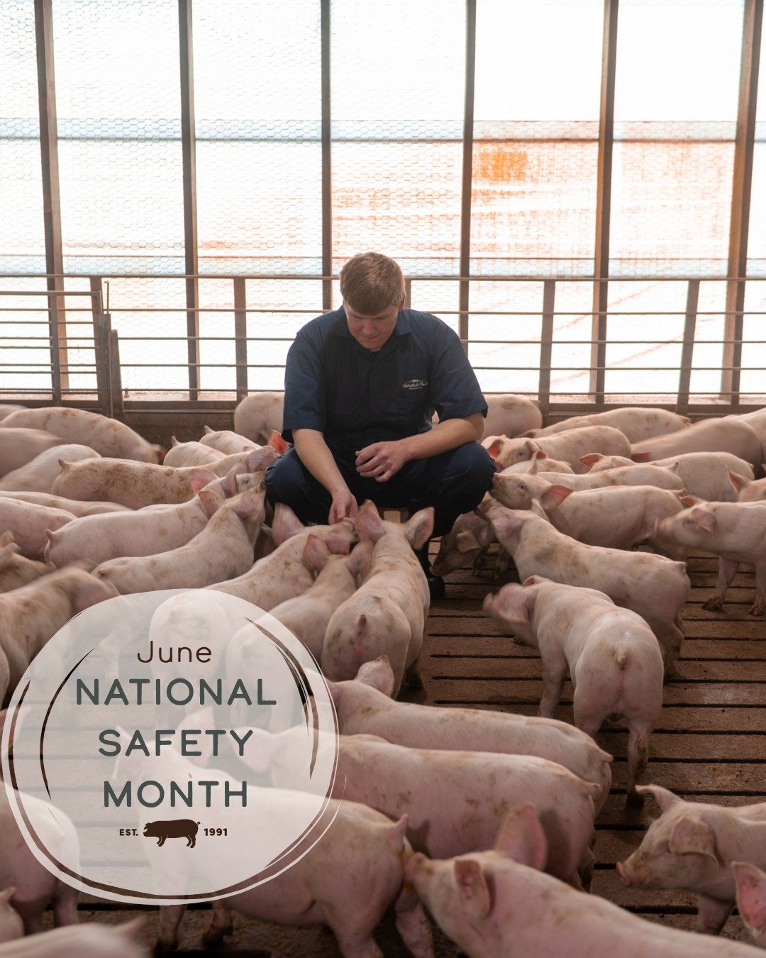 June is National Safety Month, but at WPI, safety is our daily routine. Whether it's in the barn, out in the field, on the road, or anywhere in between, the safety of our animals and employees is always top of mind. 

Do you know someone at WPI that 