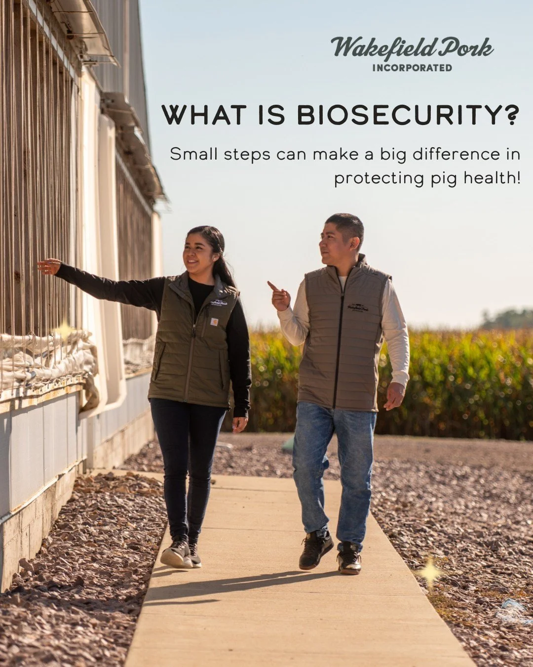 🐷 Behind the Barn: What is biosecurity?

Biosecurity is all about preventing diseases from entering or spreading on the farm. From cleaning and disinfecting to following farm entry procedures, these practices help protect pig health.

Keeping our pi