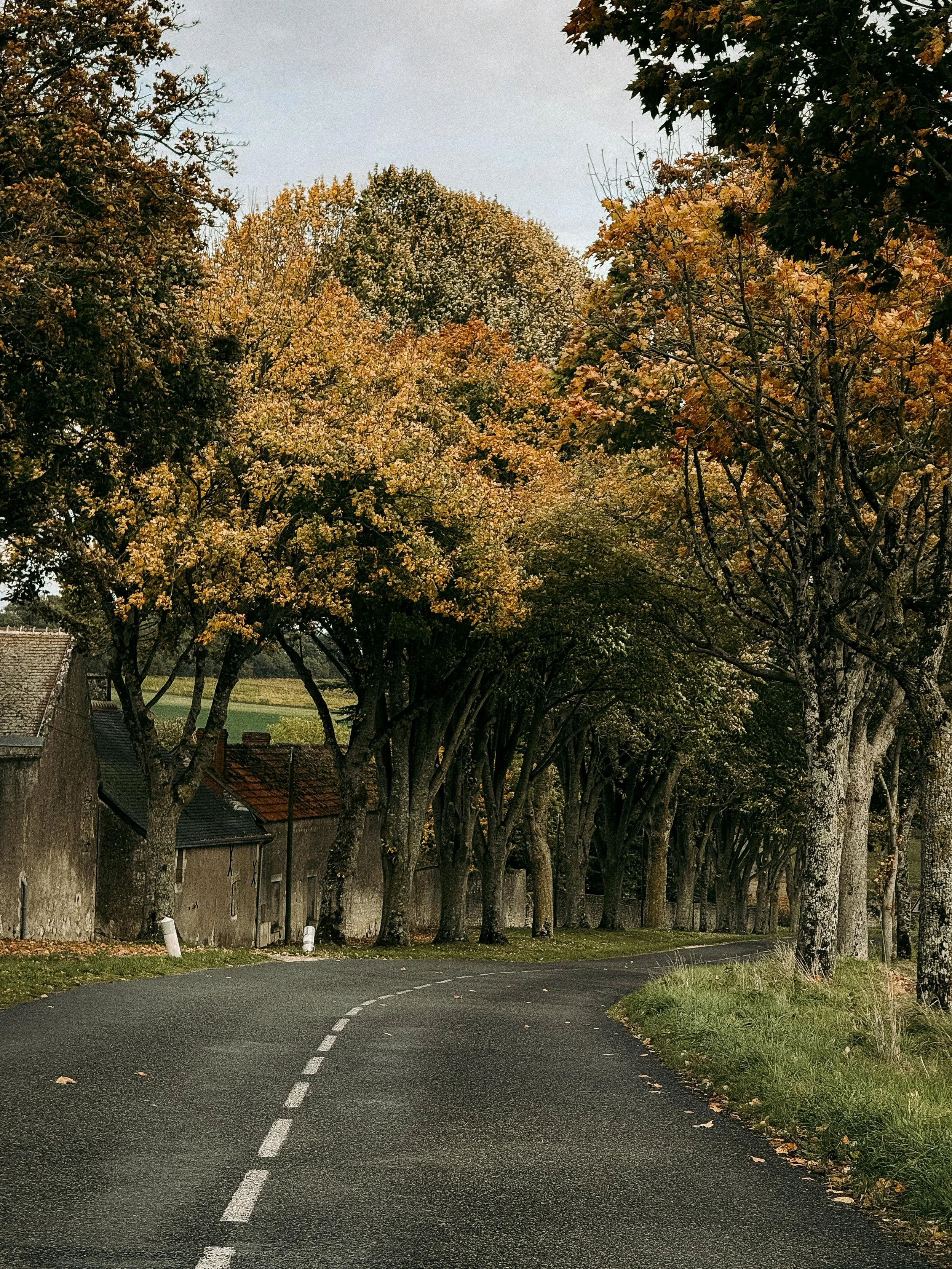 When Success Becomes the Constraint