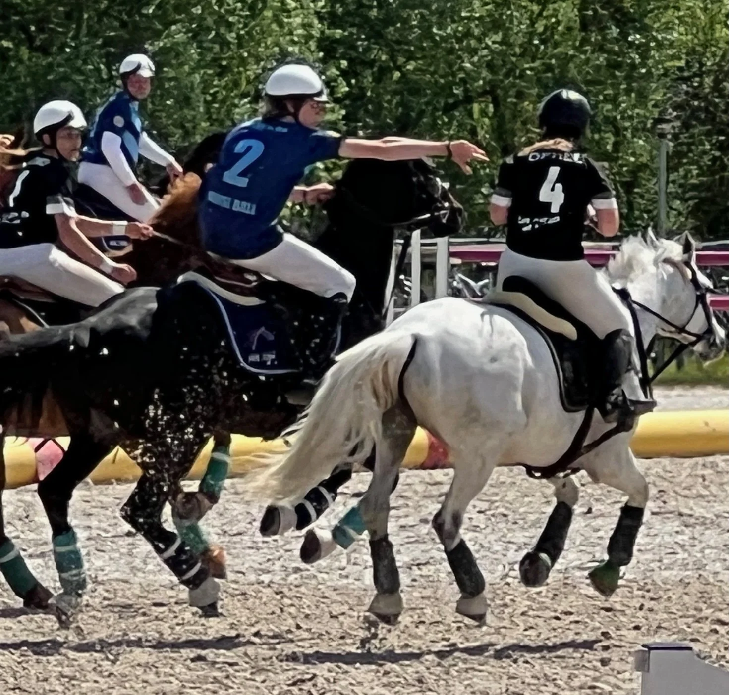 What the Hell is Horseball?