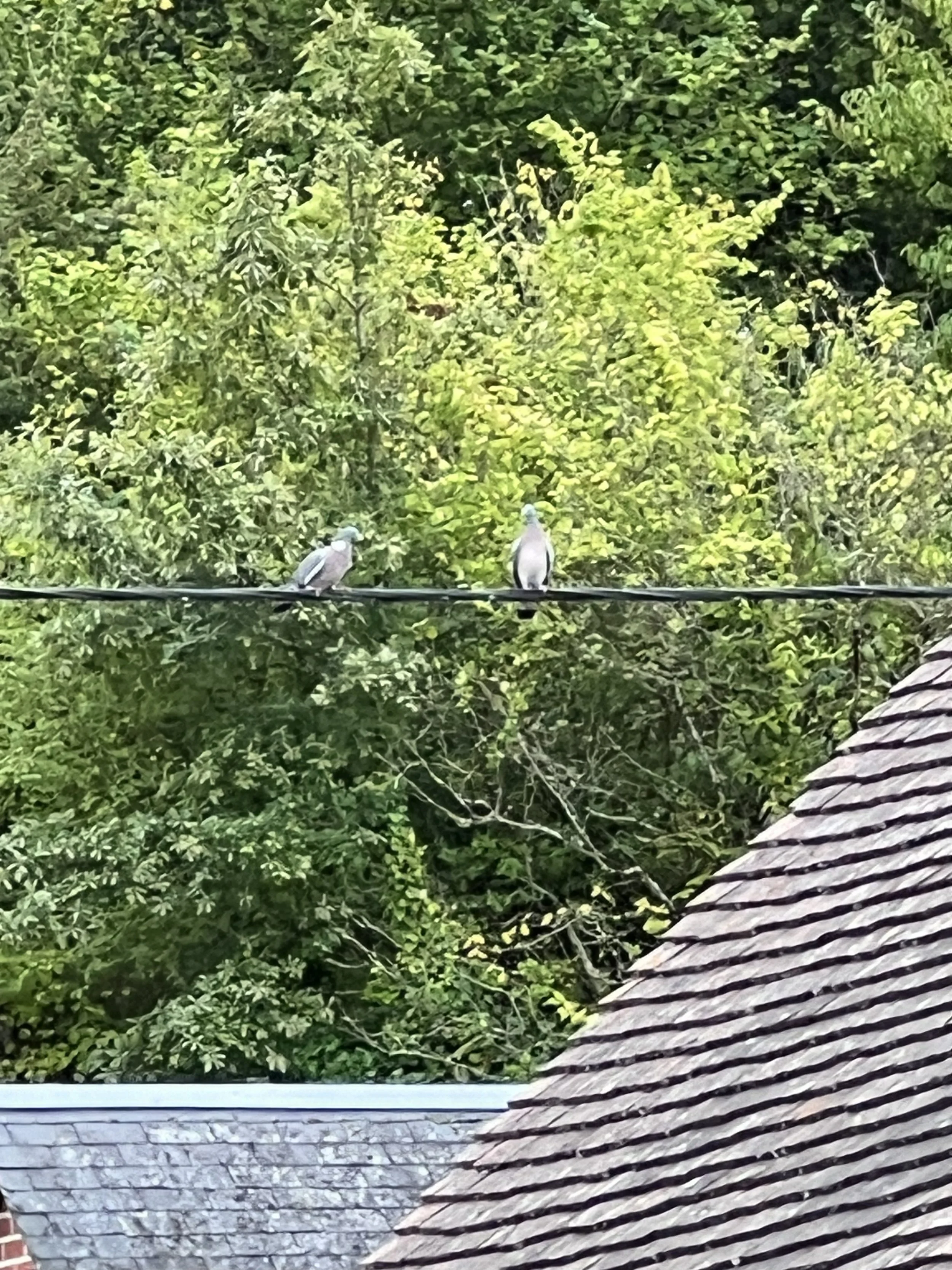 Our Neighbors