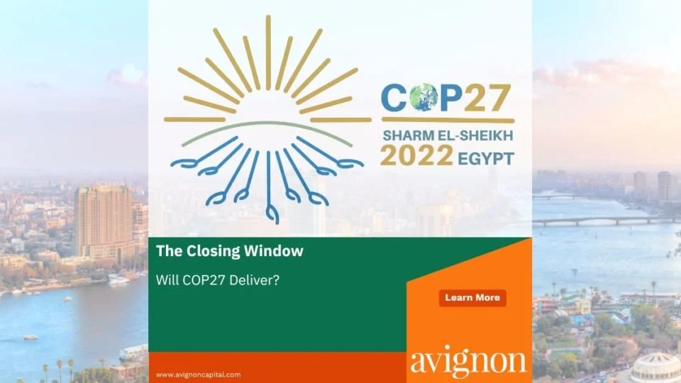 The Closing Window: Will COP27 Deliver?