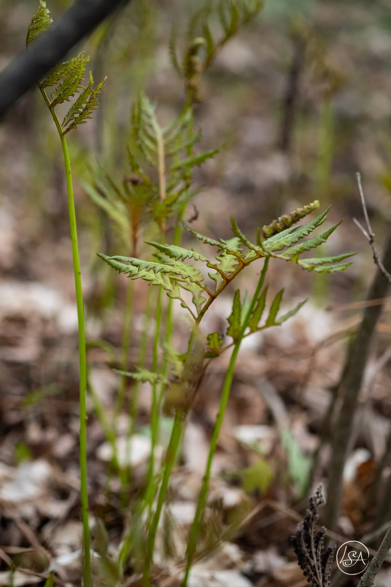 What We Build Instead