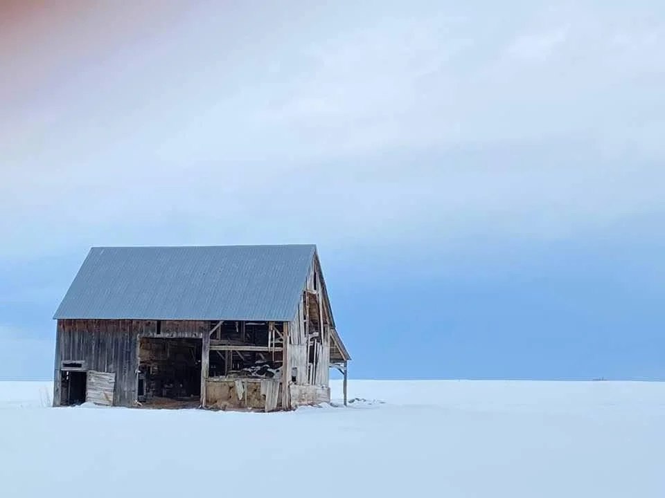 Grief, Aging &amp; Mortality: How We Walk Each Other Home