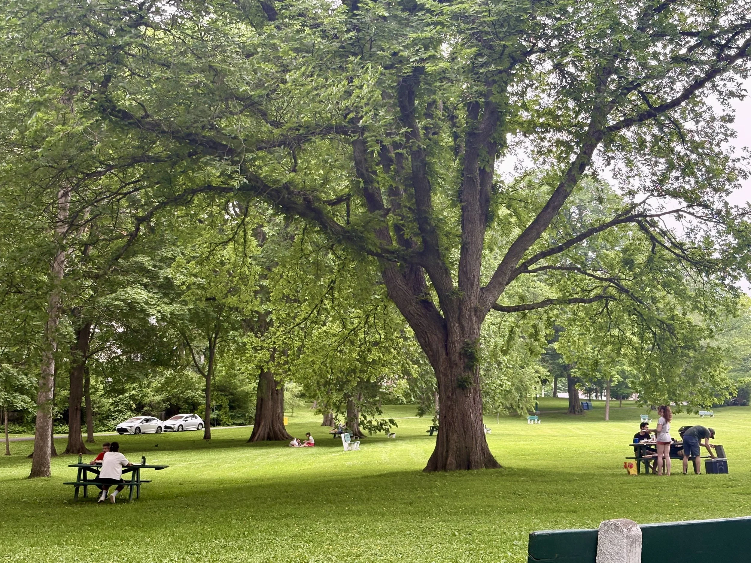 Field Notes: Quiet Gratitude for Canada