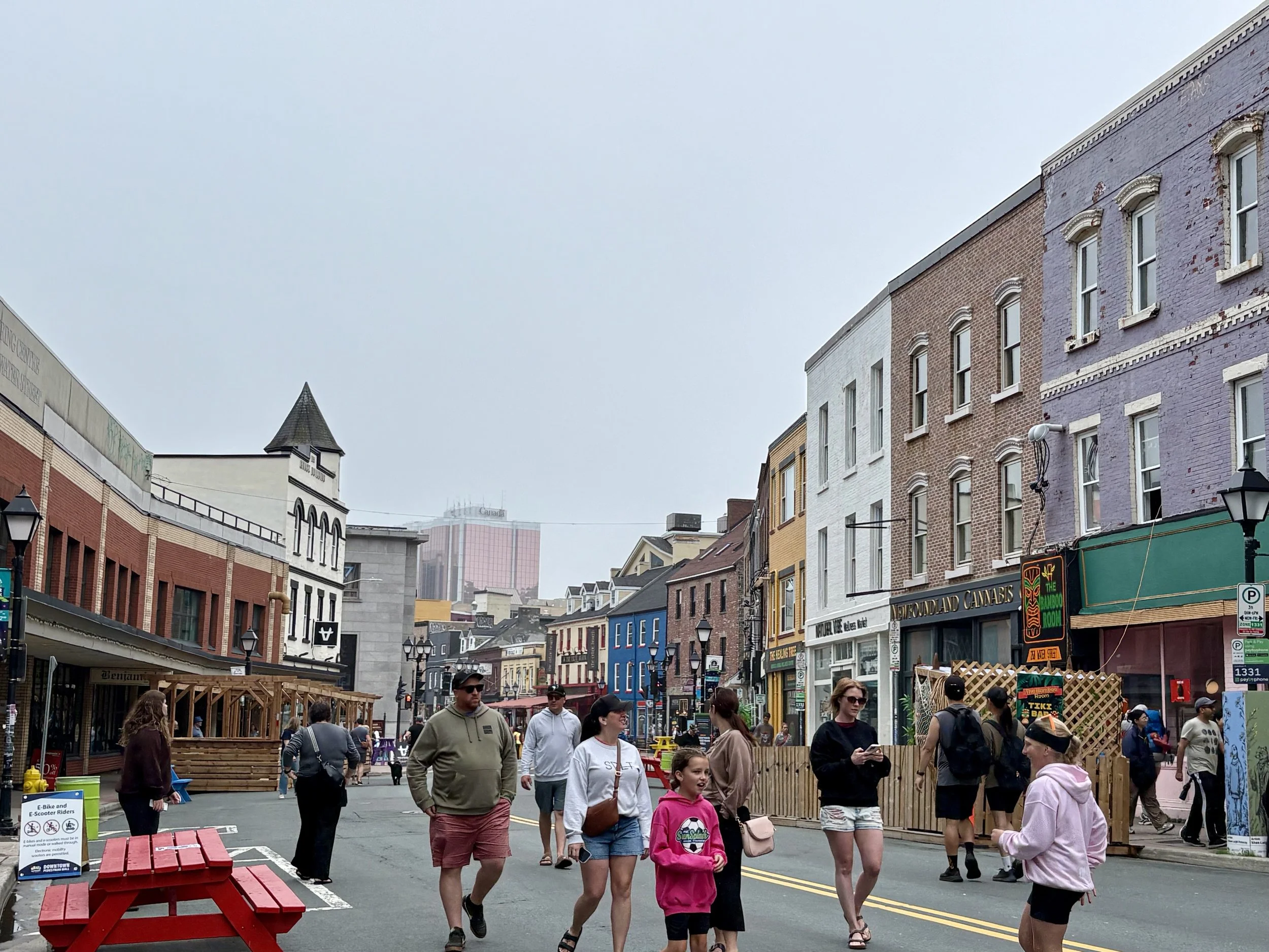 Field Notes from St. John’s: A City That Creates What It Needs