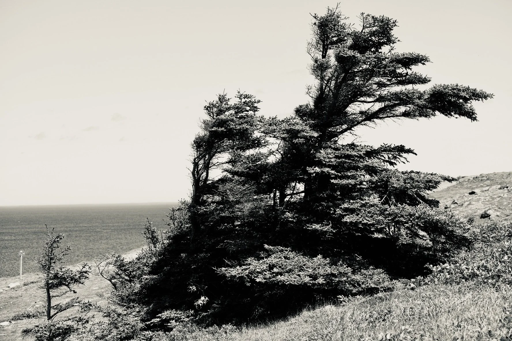 Field Notes : Two Hours at 30,000 Feet