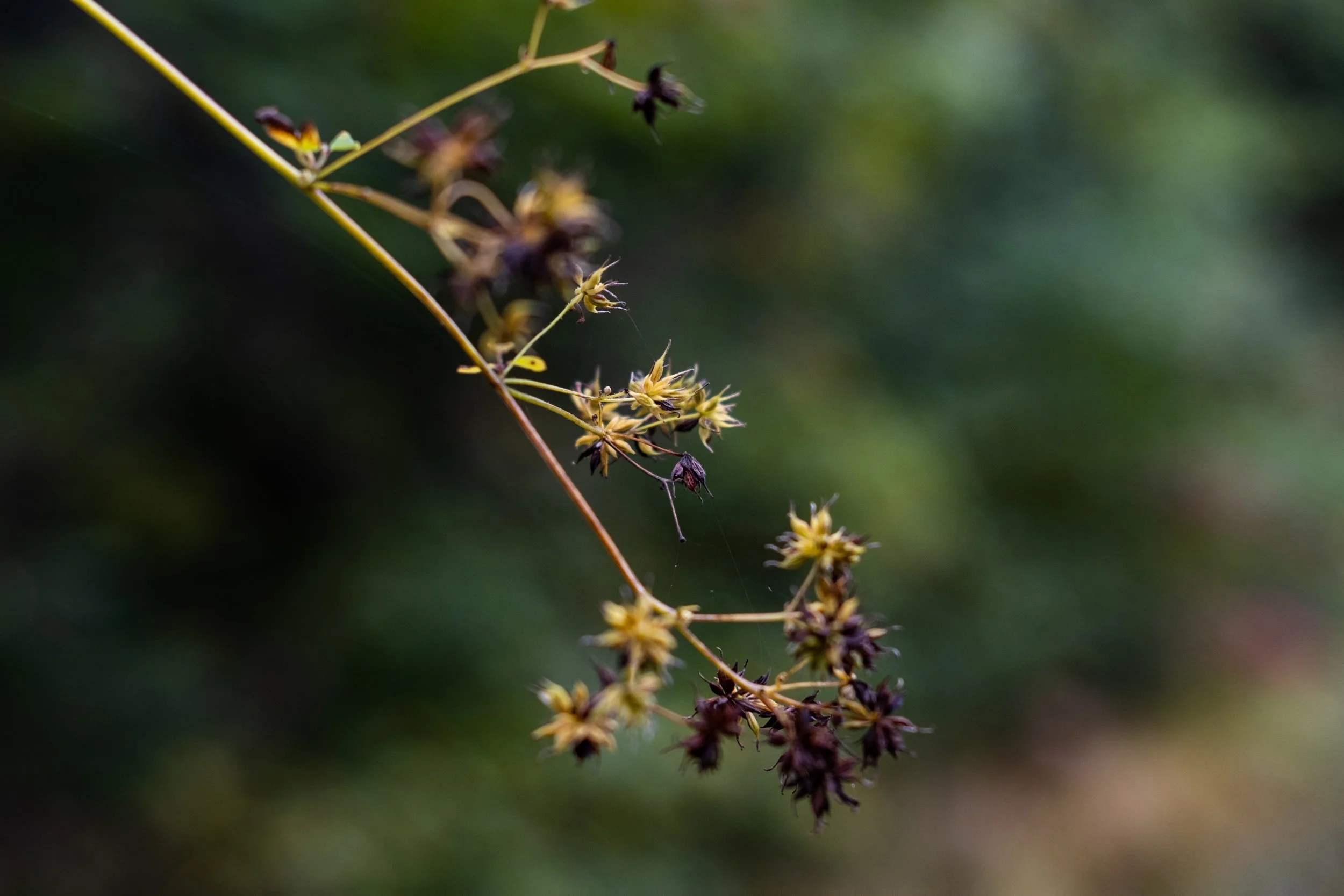 untitled shoot-102.jpg