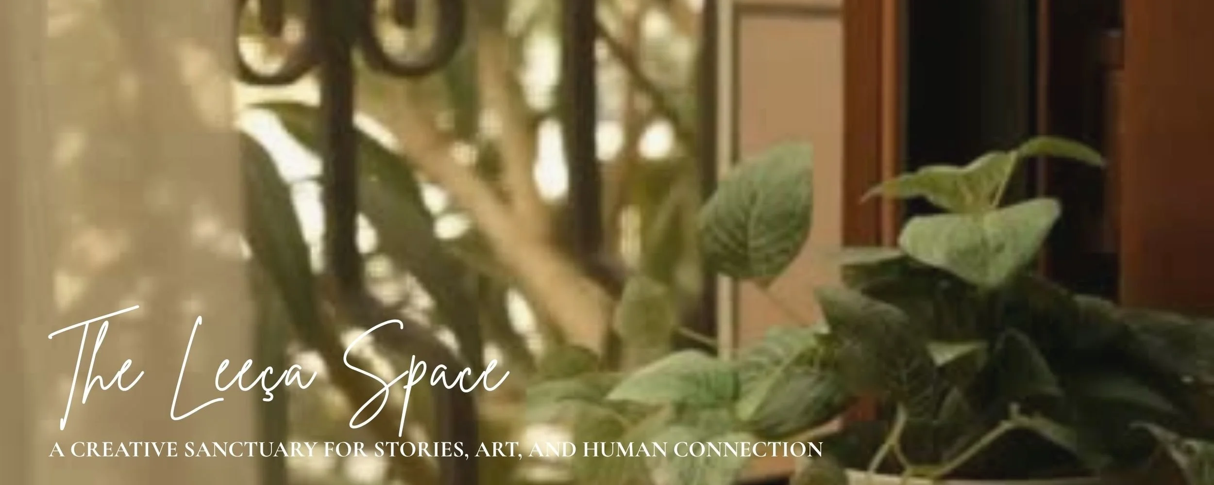 Squarespace Banner.jpg