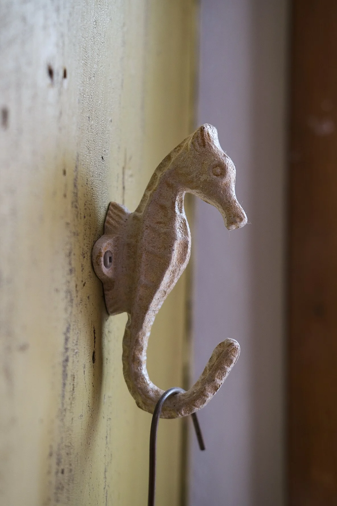 A beige, seahorse-shaped wall hook mounted on a yellow wall, with a metal hook hanging from its belly.